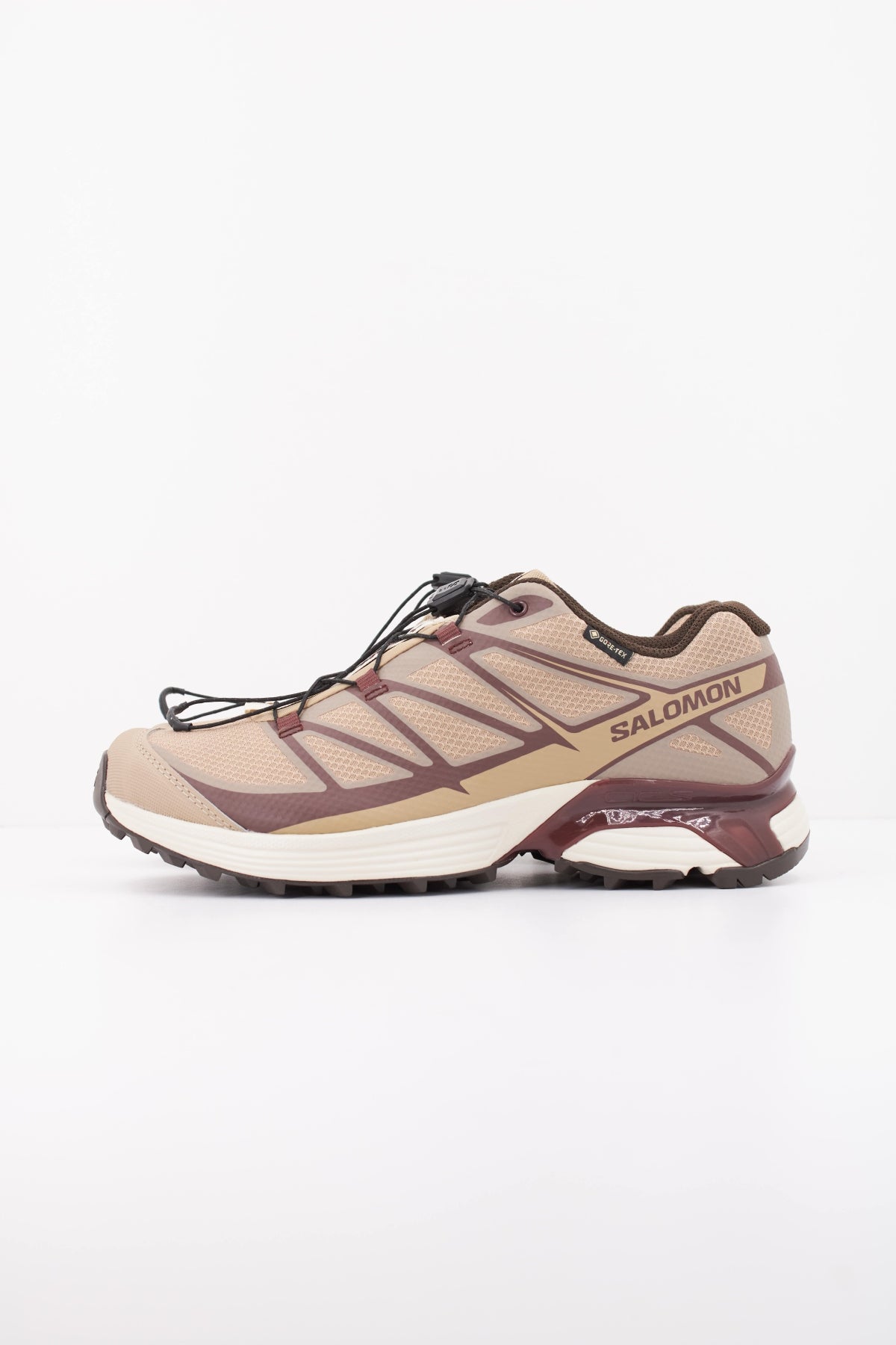 SALOMON XT PATHWAY GTX en color MARRON CLARO (1)