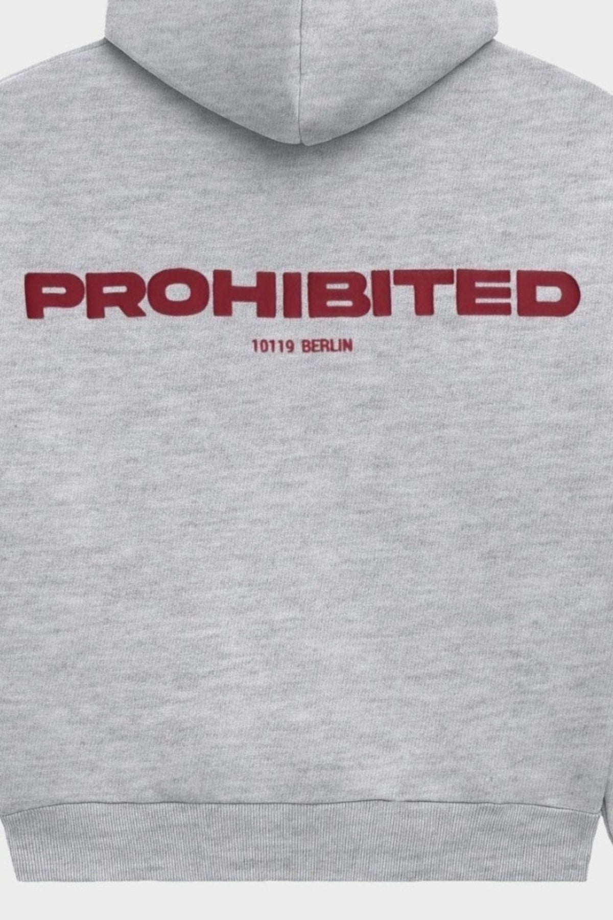 PROHIBITED 10119 ZIP-HOODIE en color GRIS (3)