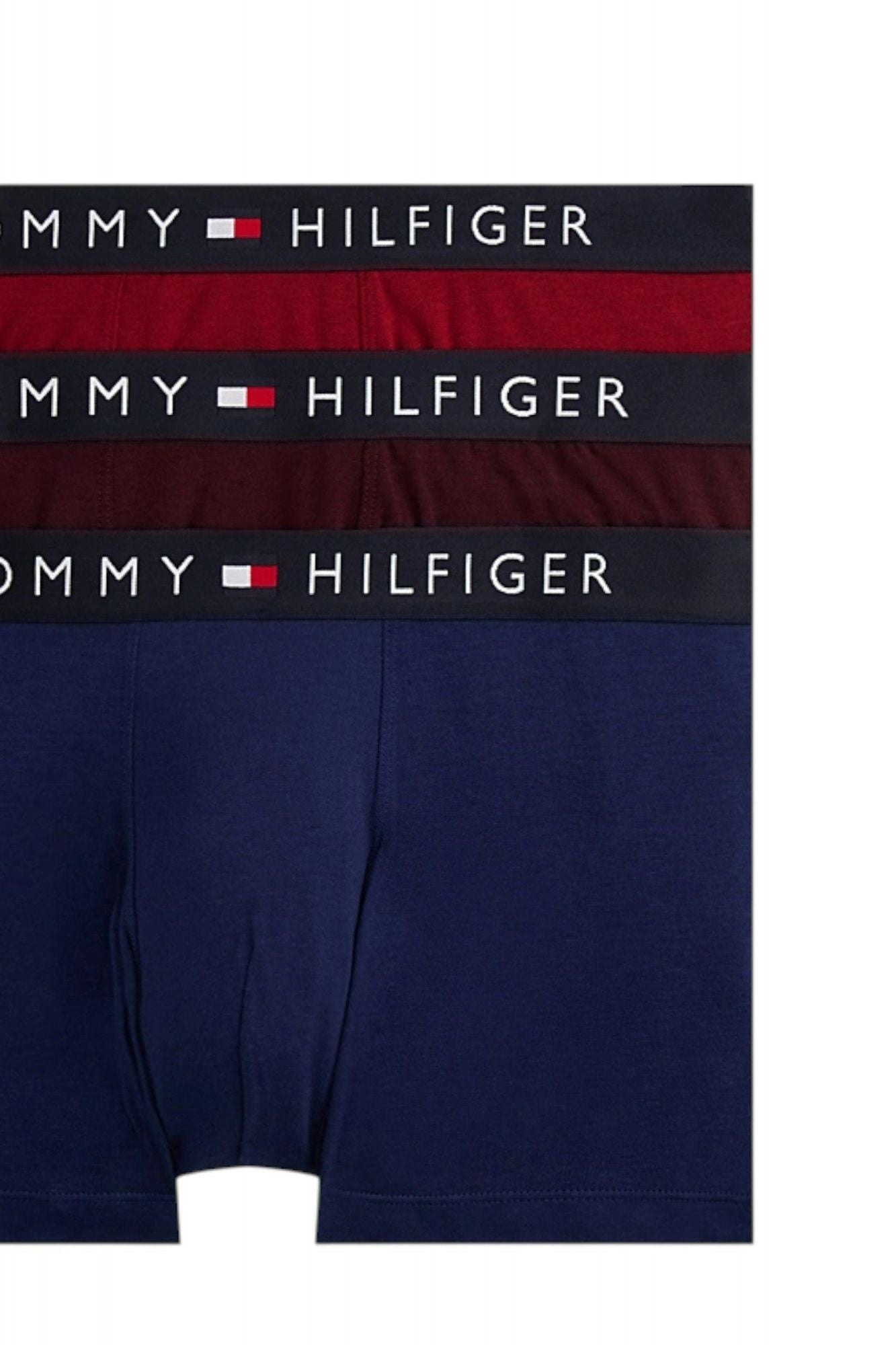 TOMMY HILFIGER UM0UM03180 en color MULTICOLOR (3)