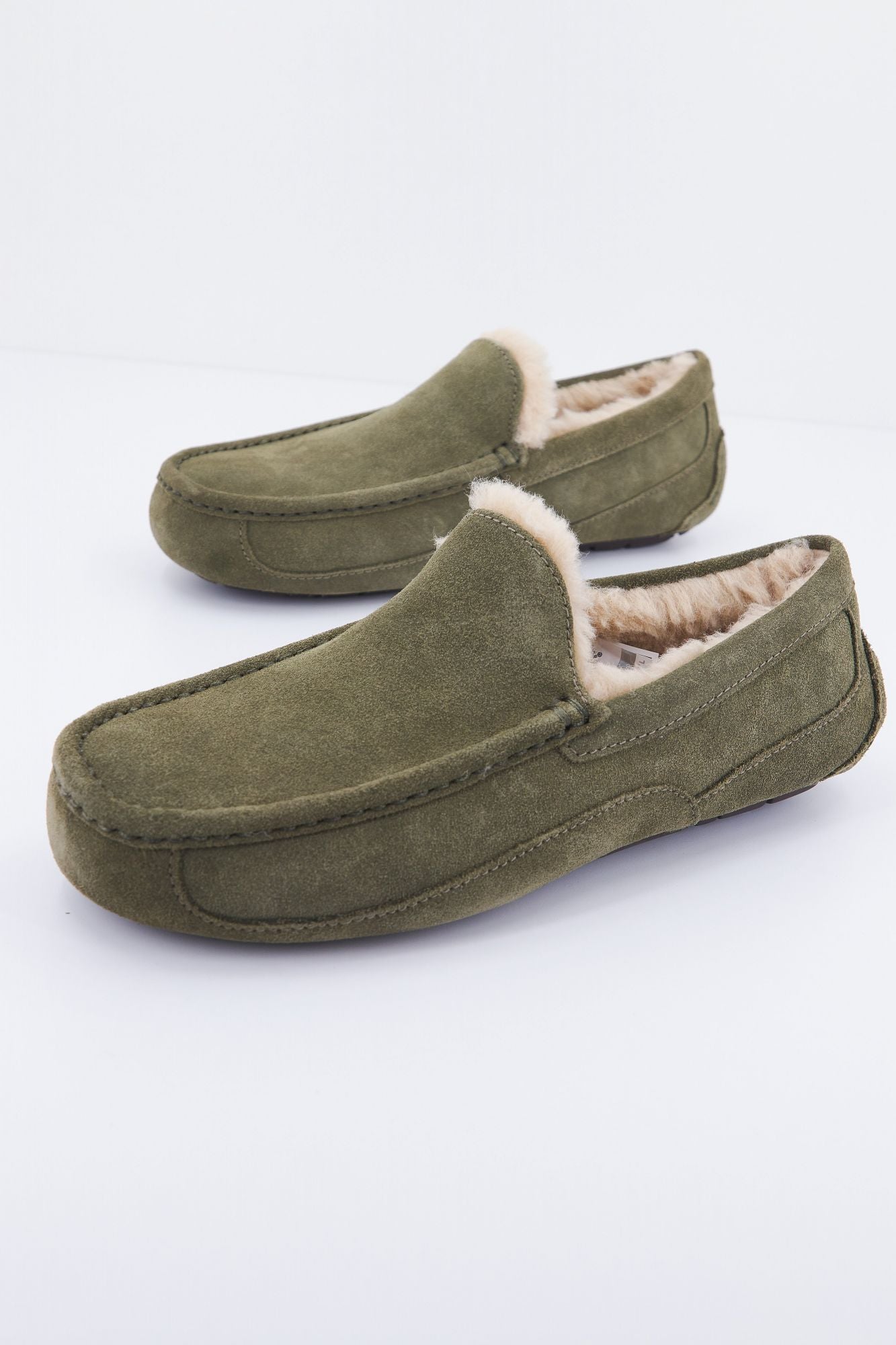 UGG M ASCOT en color VERDE (2)