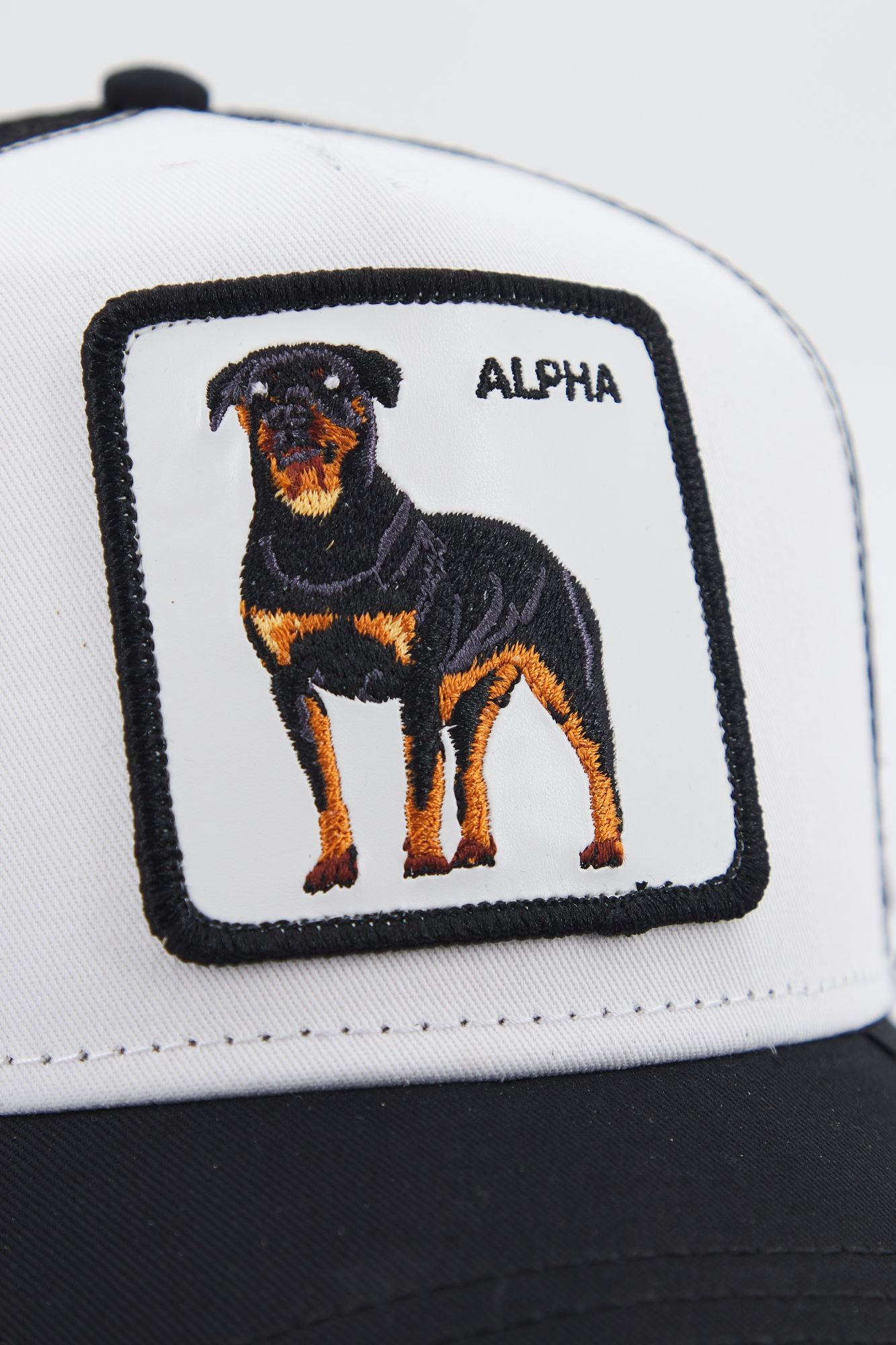 GOORIN BROS ALPHA DOG en color NEGRO (4)