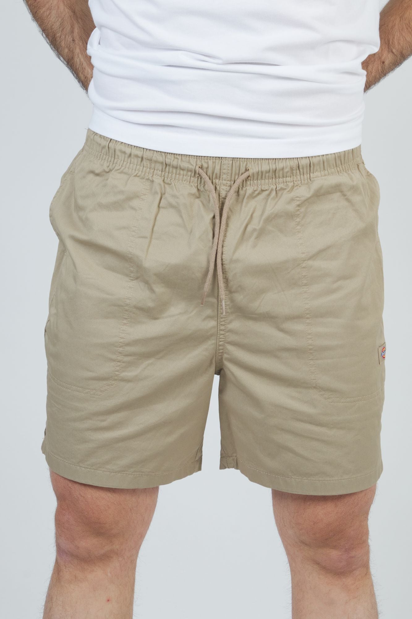 DICKIES PELICAN RAPIDS en color MARRON CLARO (1)