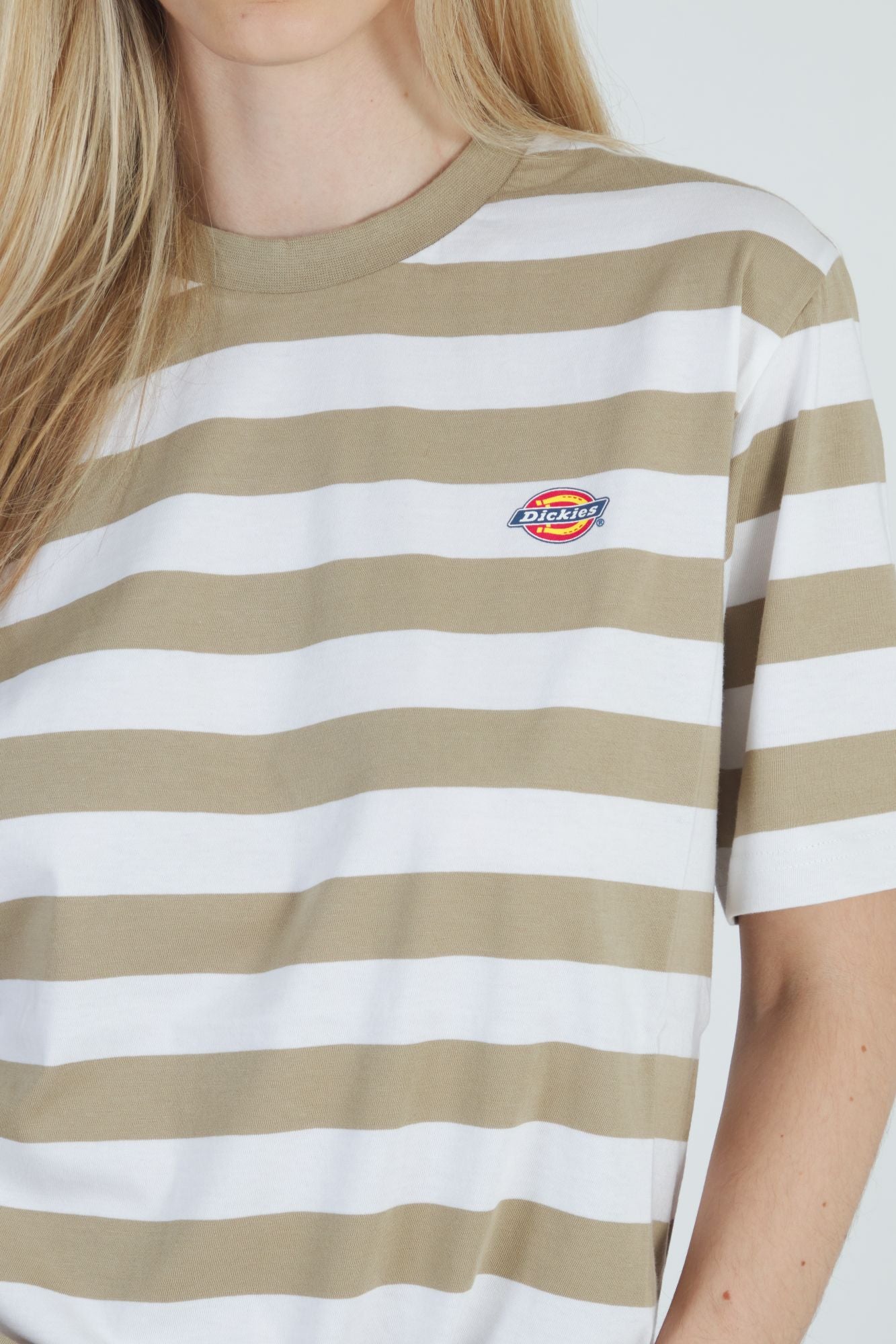 DICKIES RIVERGROVE SS TEE en color MARRON (4)