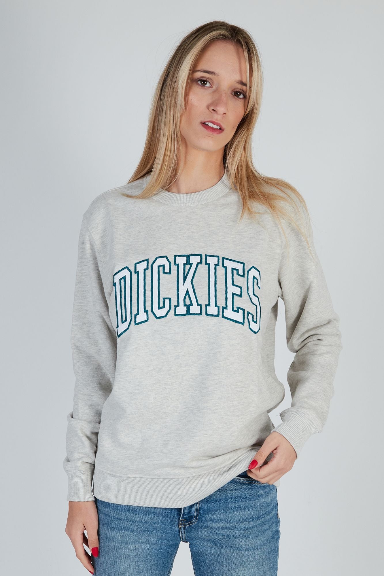 DICKIES AITKIN SWEATSHIRT en color GRIS (1)