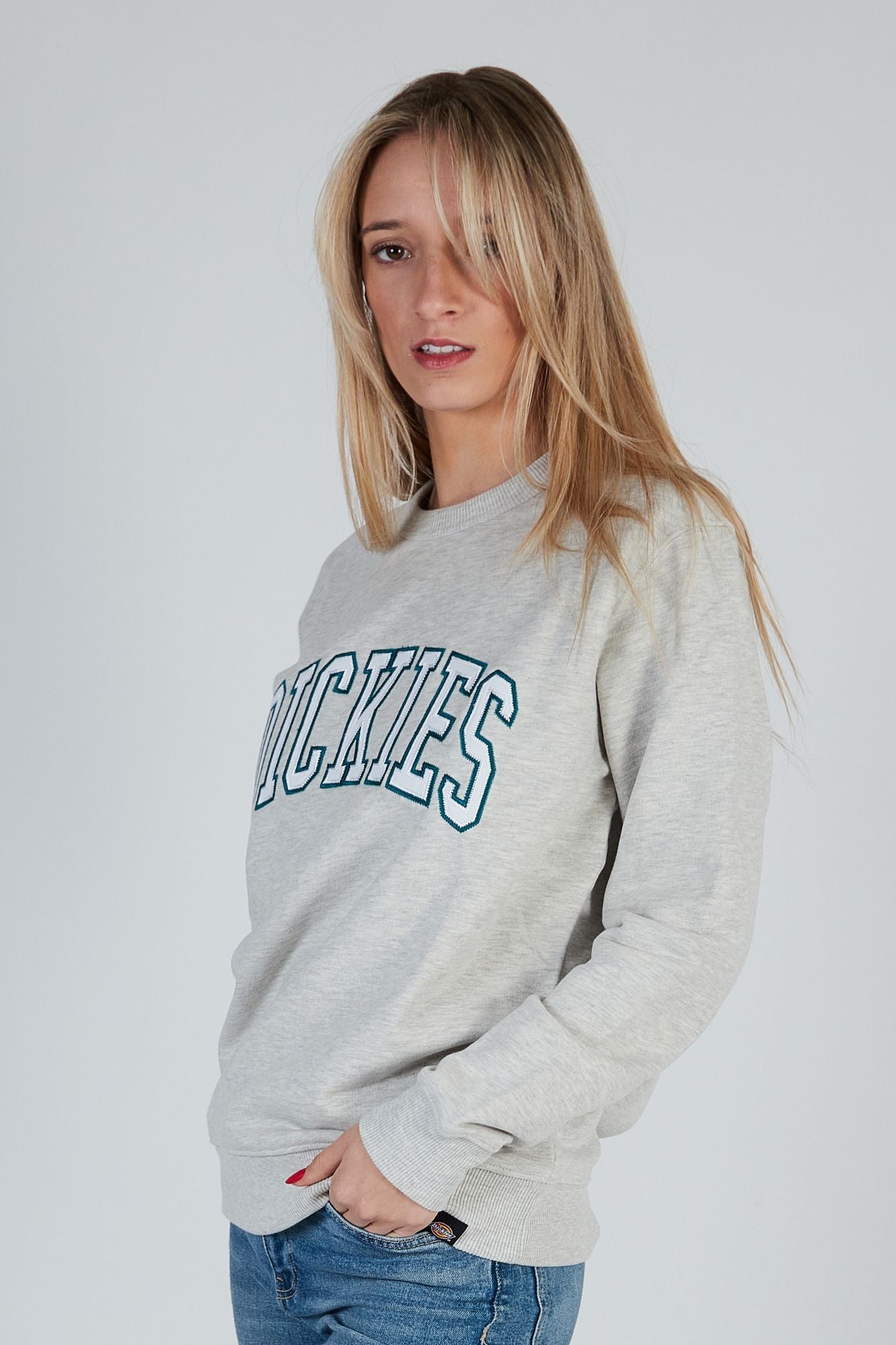 DICKIES AITKIN SWEATSHIRT en color GRIS (3)