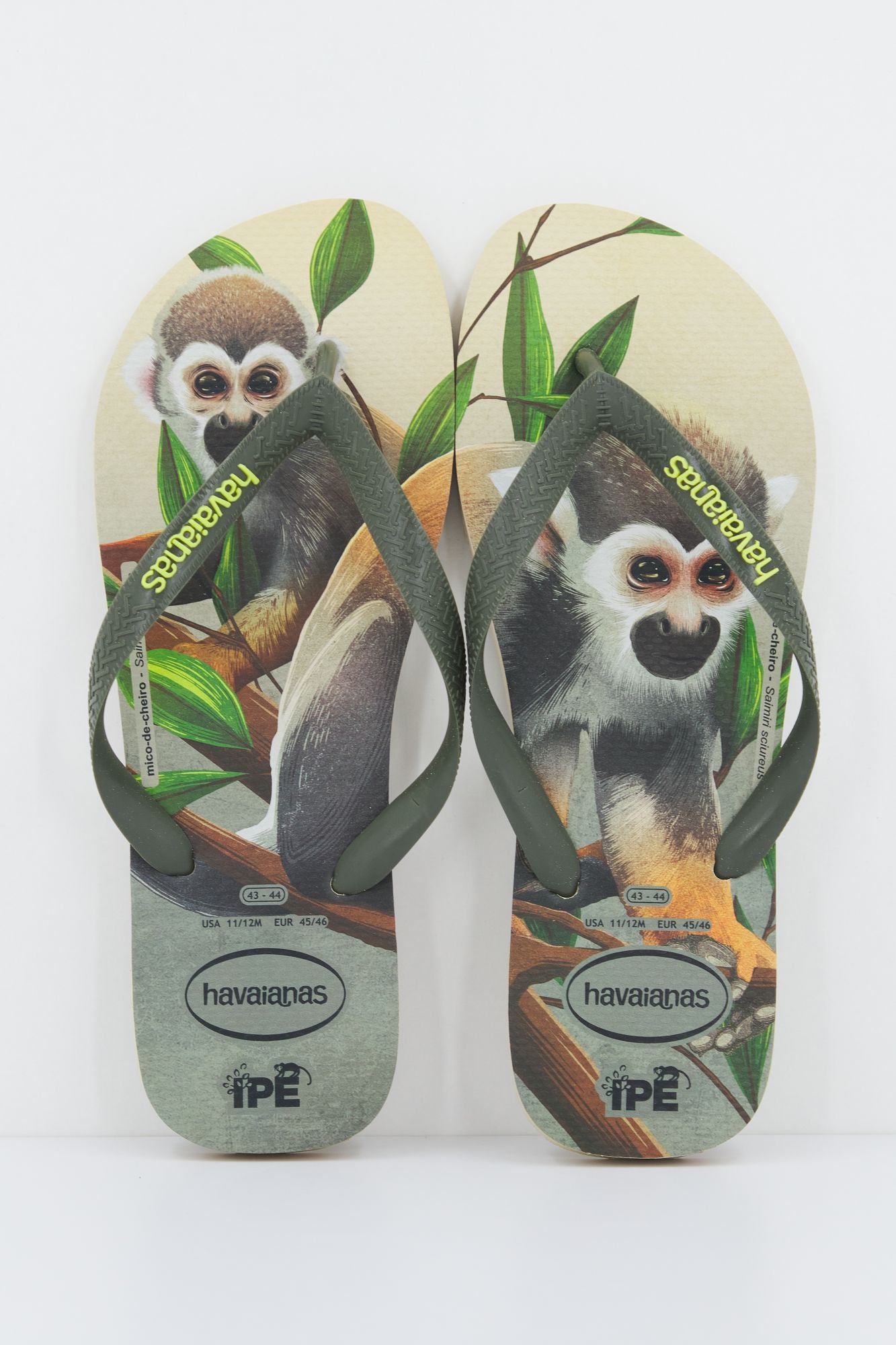 HAVAIANAS 4000396 en color VERDE (1)