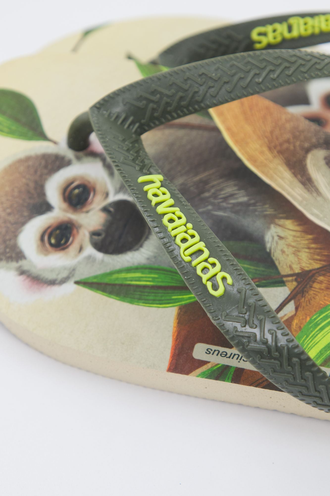 HAVAIANAS 4000396 en color VERDE (3)