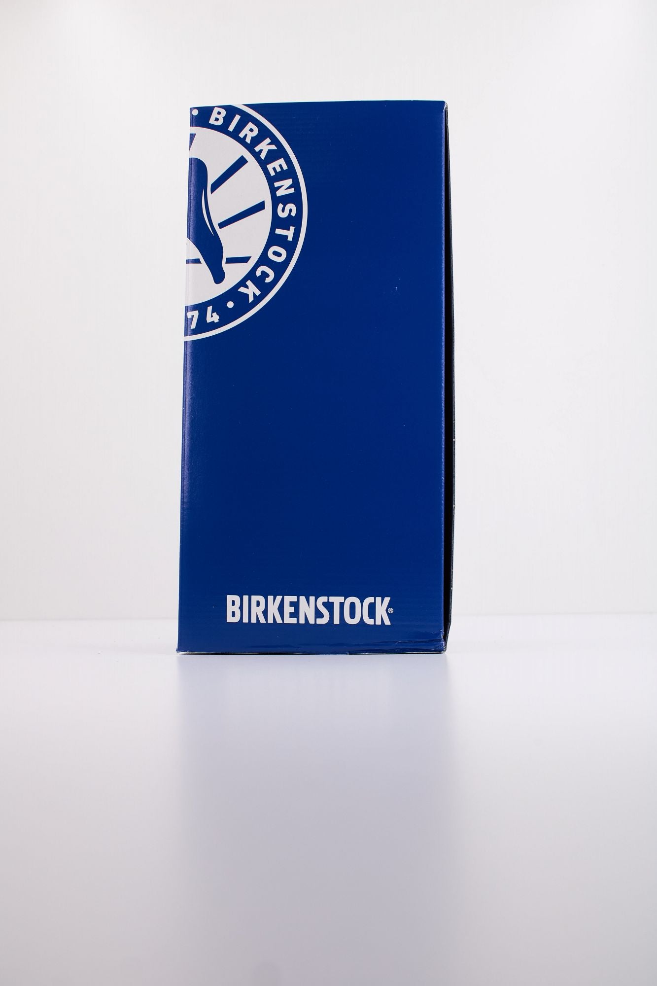 BIRKENSTOCK GIZEH RIVET BORDER en color AMARILLO (6)