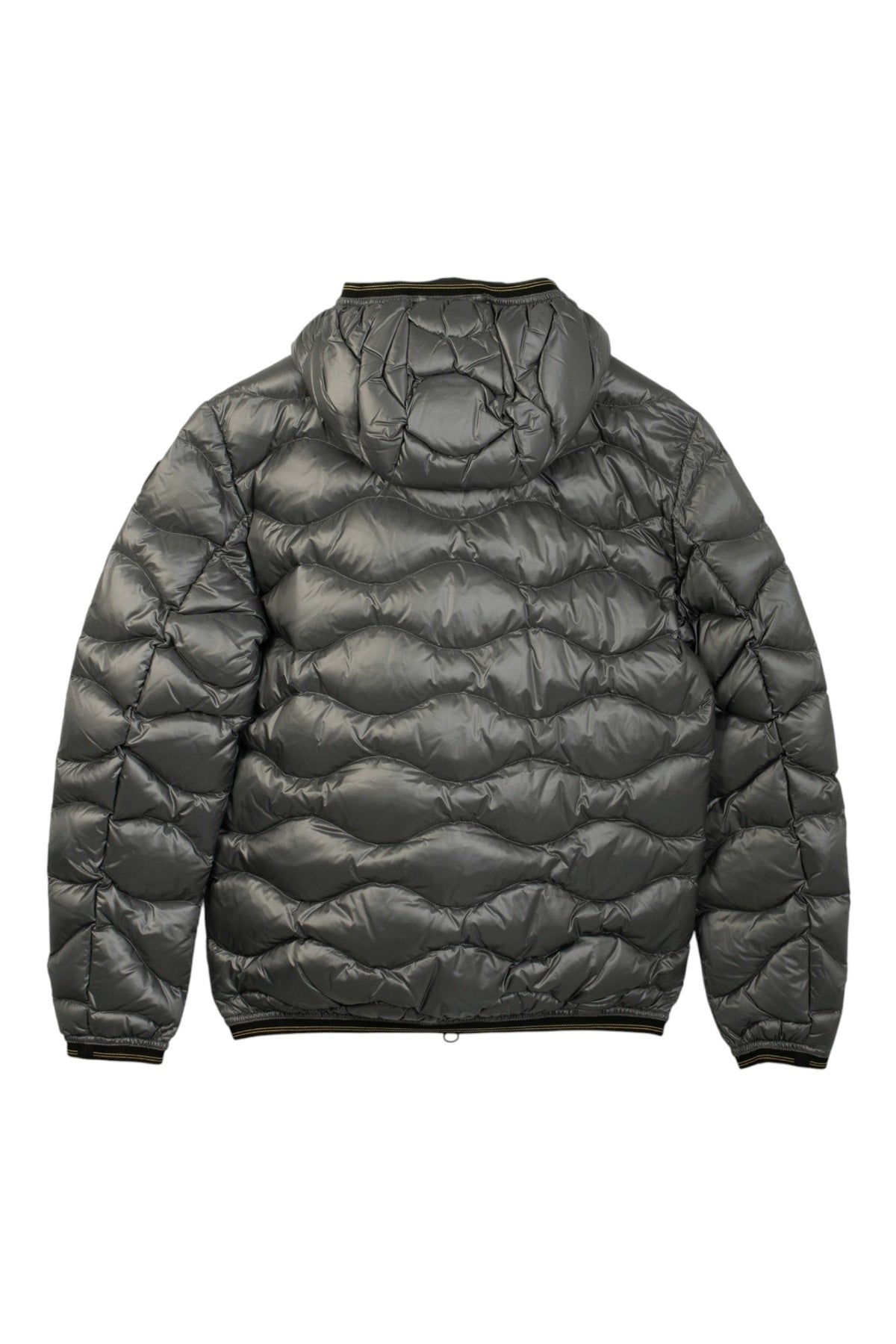 BLAUER WAVE en color GRIS (2)