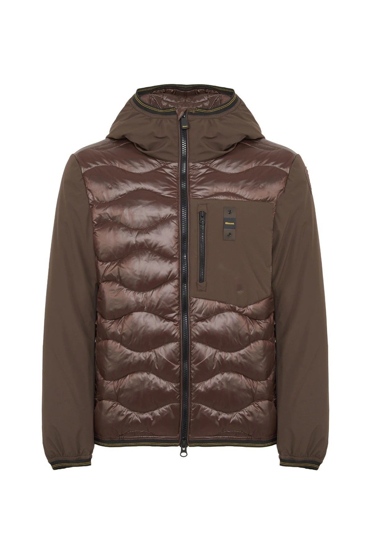BLAUER ALBERT en color MARRON (1)