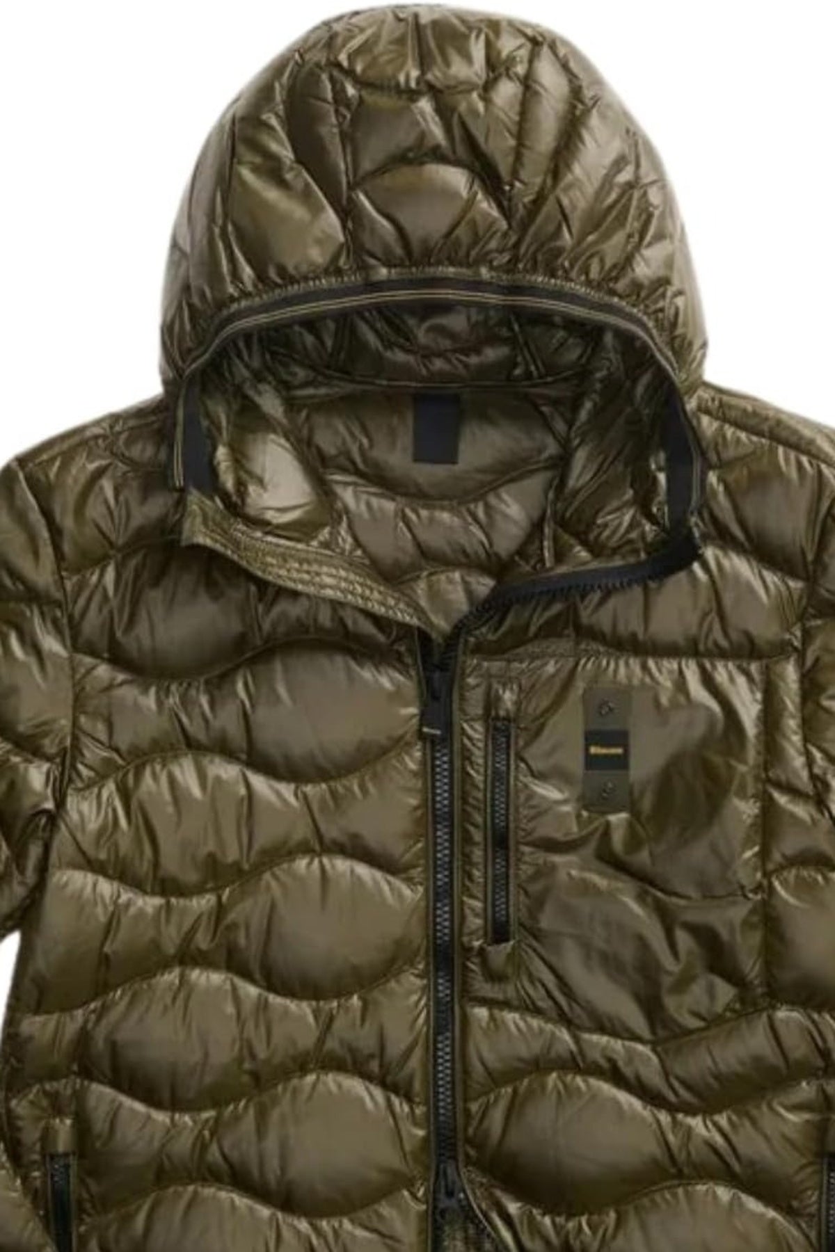 BLAUER ALBERT en color VERDE (3)