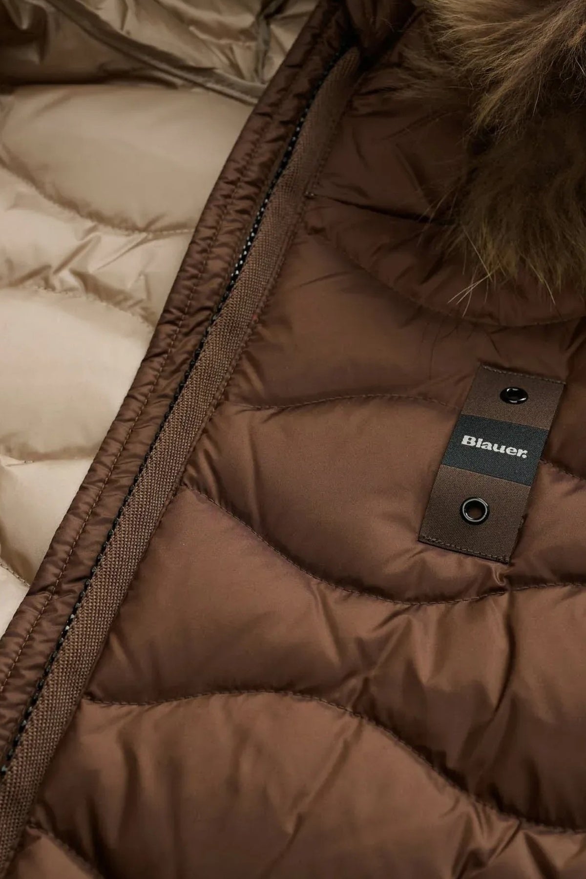 BLAUER ALDIE 26WBLDC03034 en color MARRON (4)