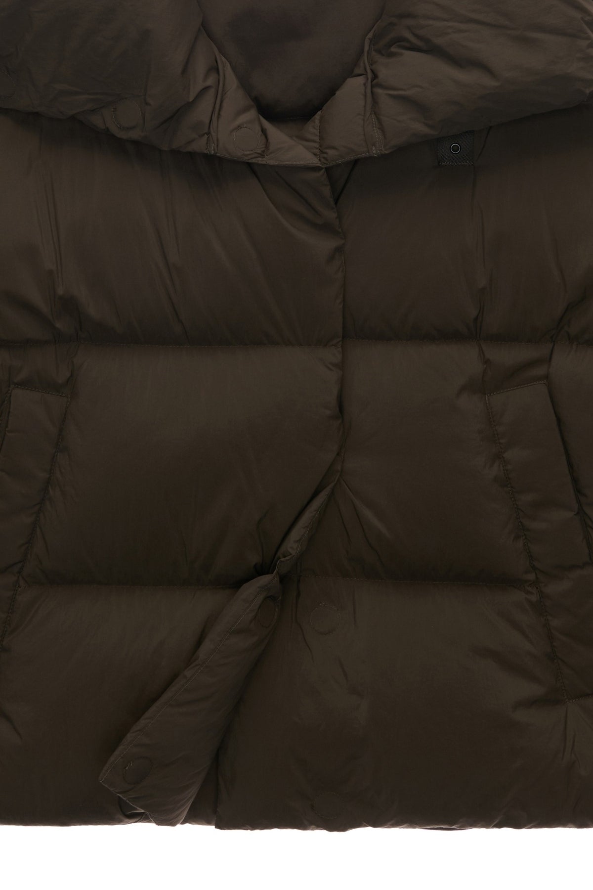 BLAUER ROSS 26WBLDC03357 en color MARRON (3)