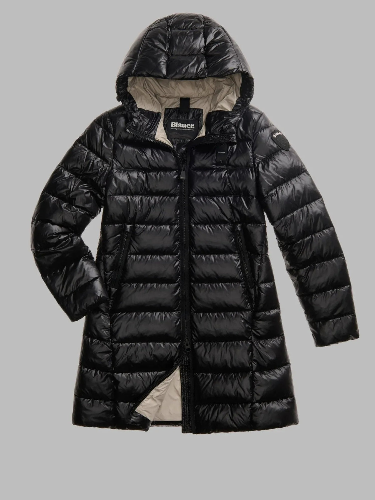 BLAUER ADELAIDE en color  (3)