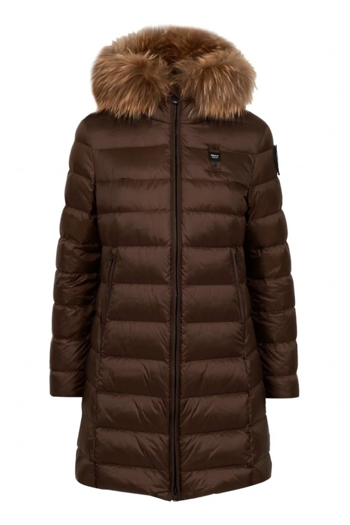 BLAUER ALTHEA en color  (1)