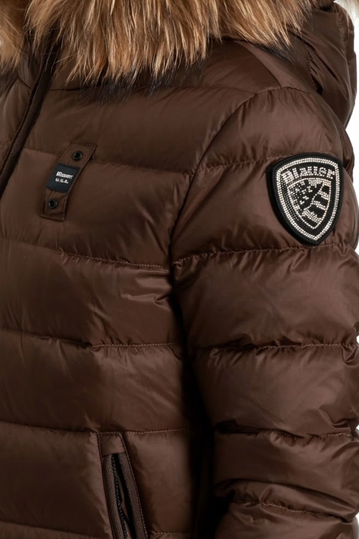 BLAUER ALTHEA en color  (3)