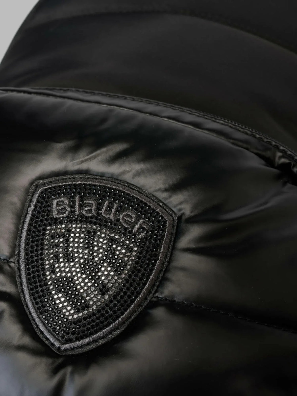 BLAUER POLYESTER NYLON BACKPACK PADDED en color  (2)