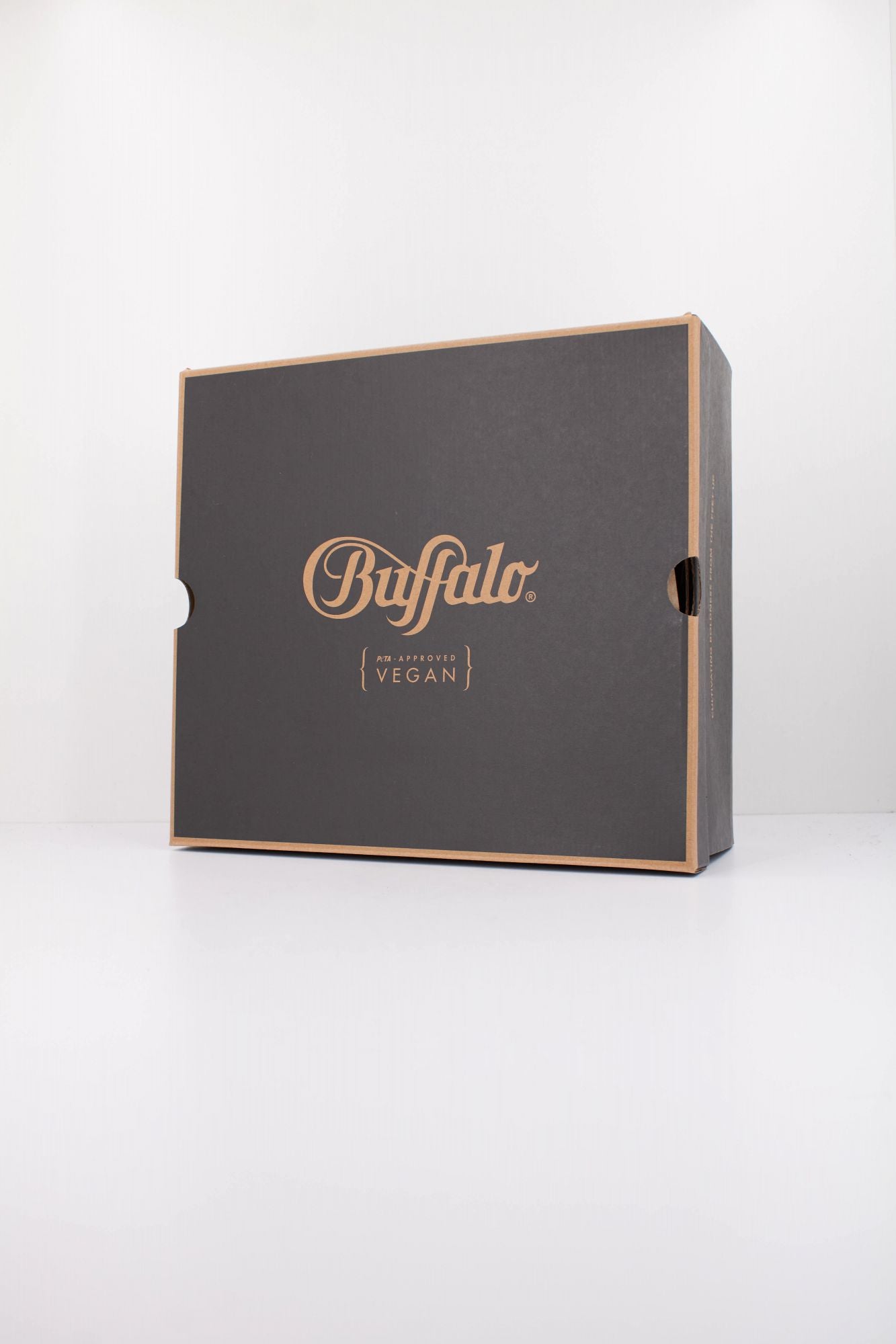 BUFFALO ELIZA SNOW BOOT en color PLATA (6)