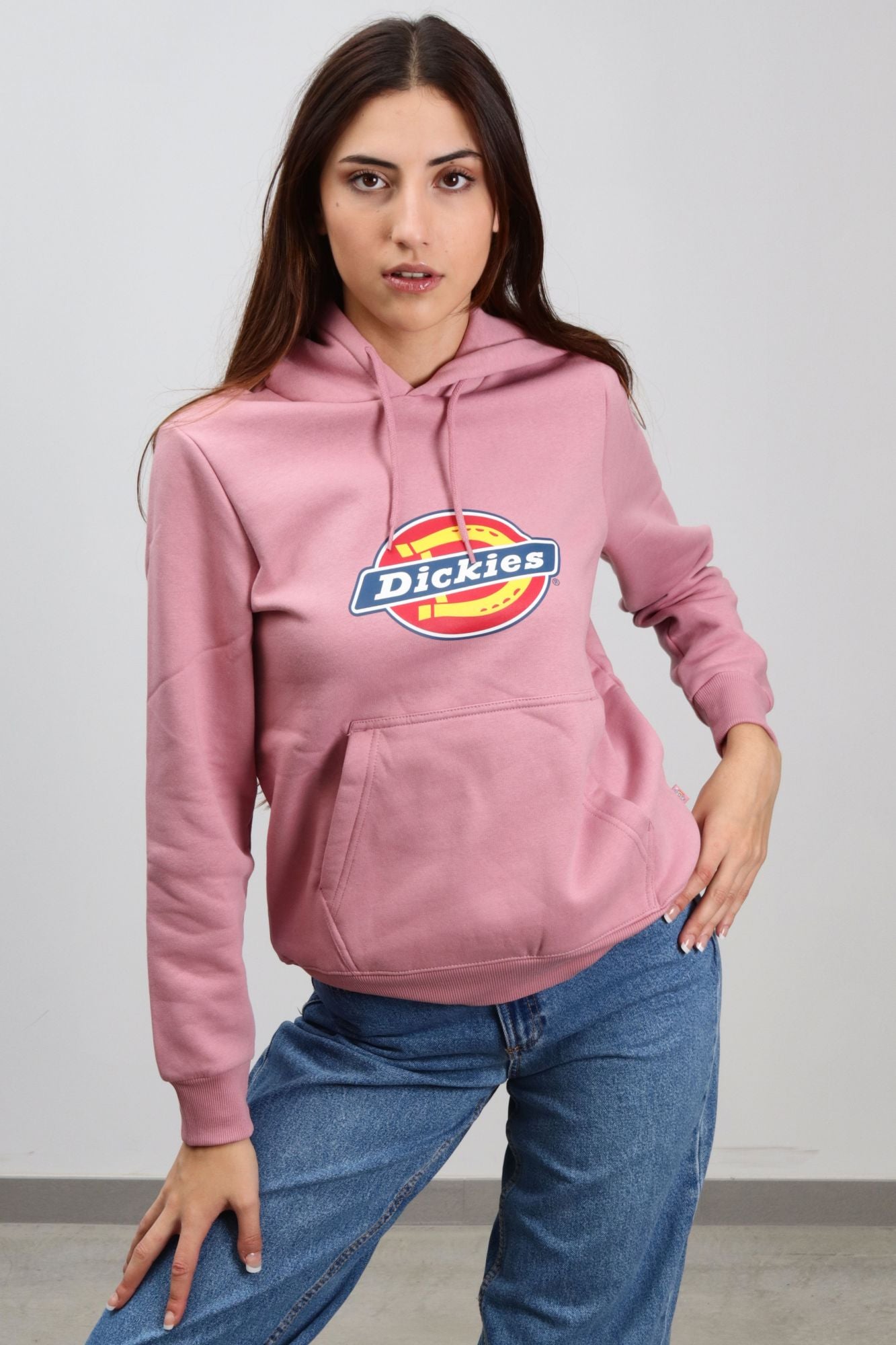 DICKIES  ICON LOGO HOODIE W en color ROSA (1)