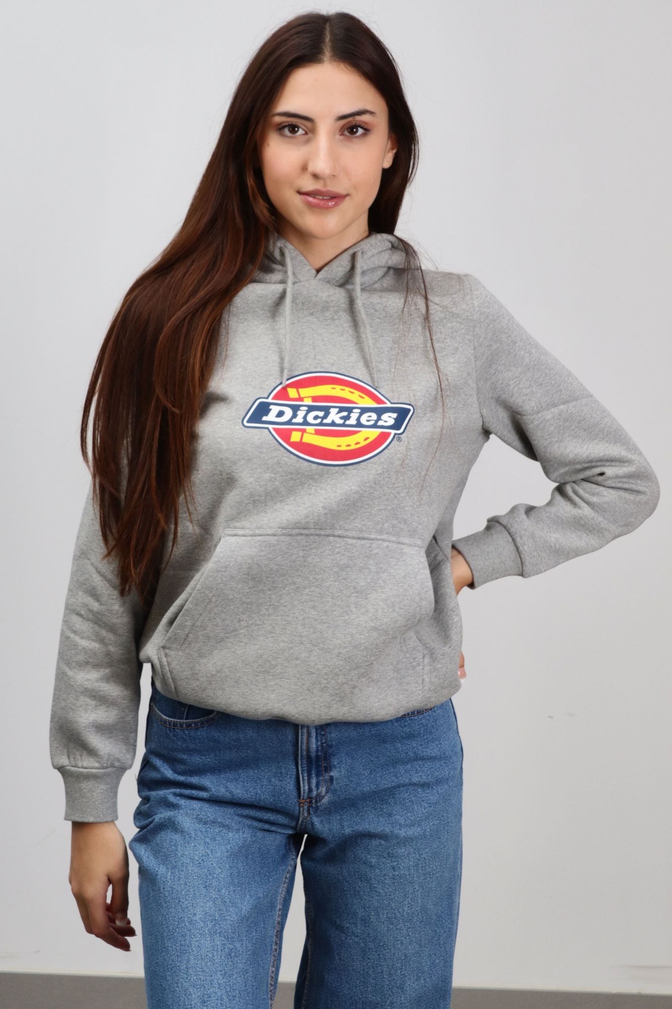 DICKIES ICON LOGO HOODIE W en color GRIS (1)