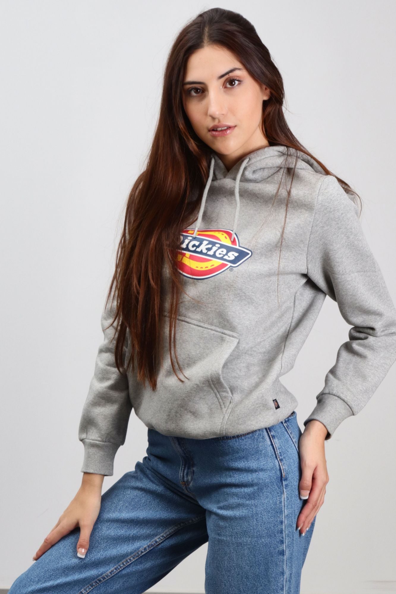 DICKIES ICON LOGO HOODIE W en color GRIS (3)