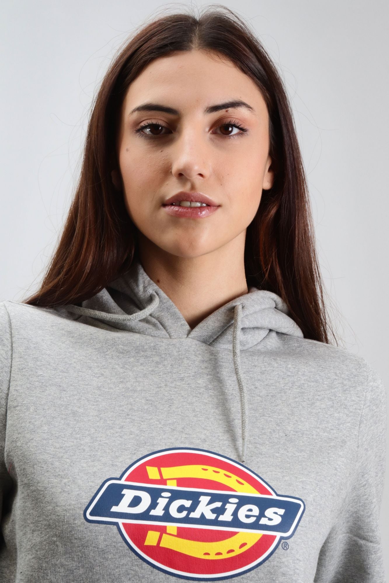 DICKIES ICON LOGO HOODIE W en color GRIS (4)
