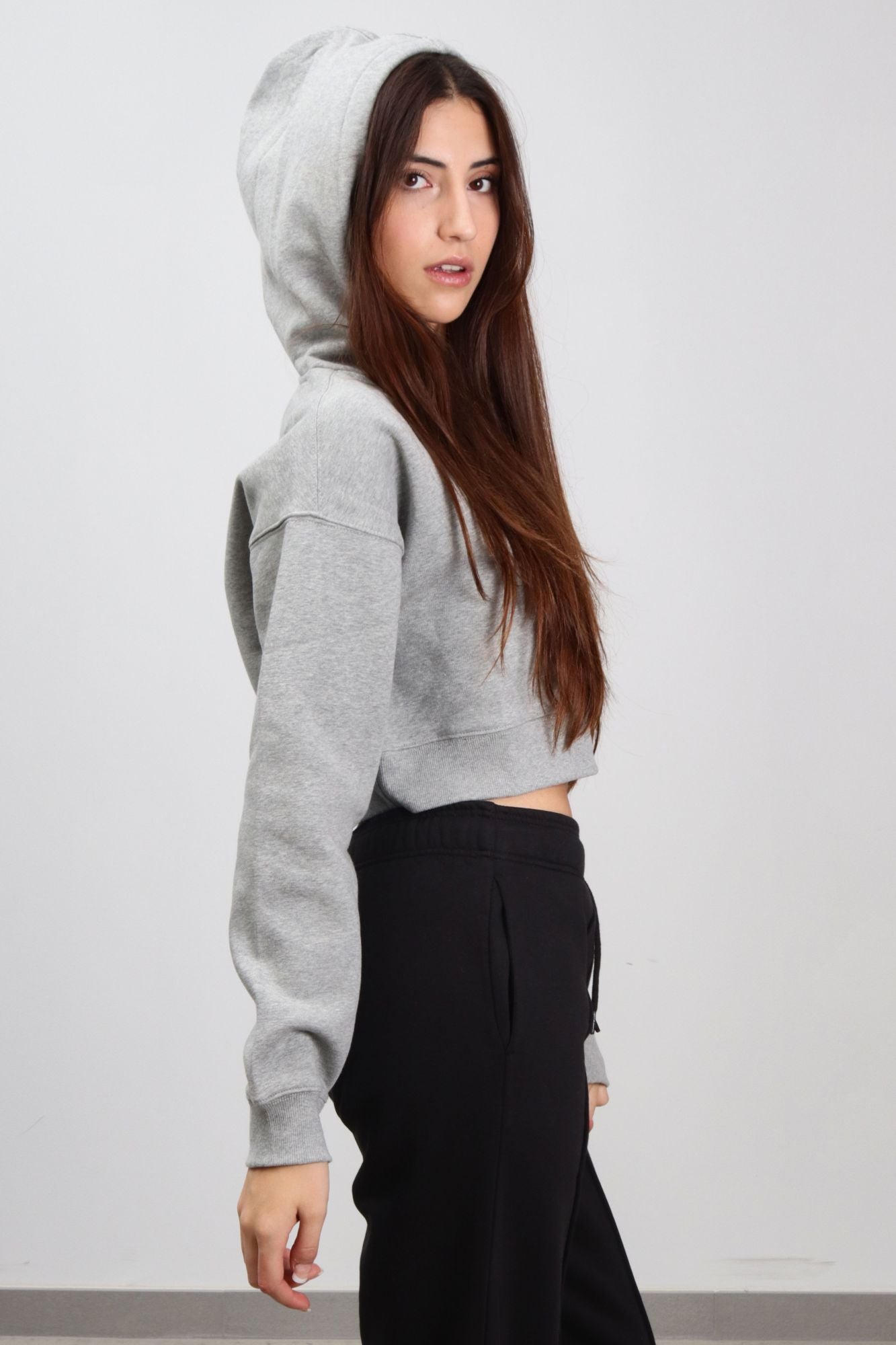 DICKIES OAKPORT CROPPED HOODIE en color GRIS (3)