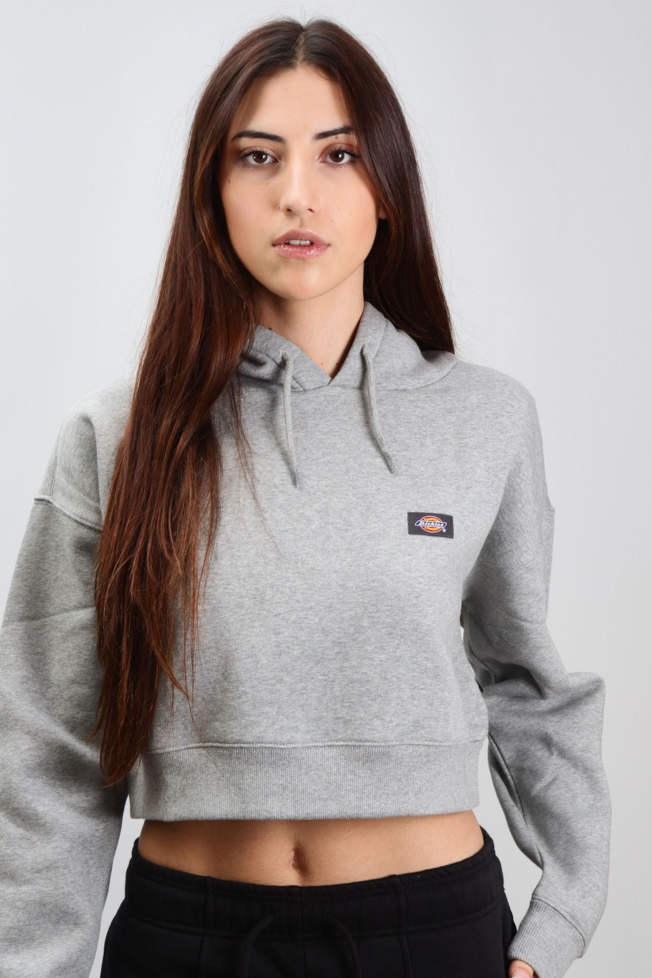 DICKIES OAKPORT CROPPED HOODIE en color GRIS (4)