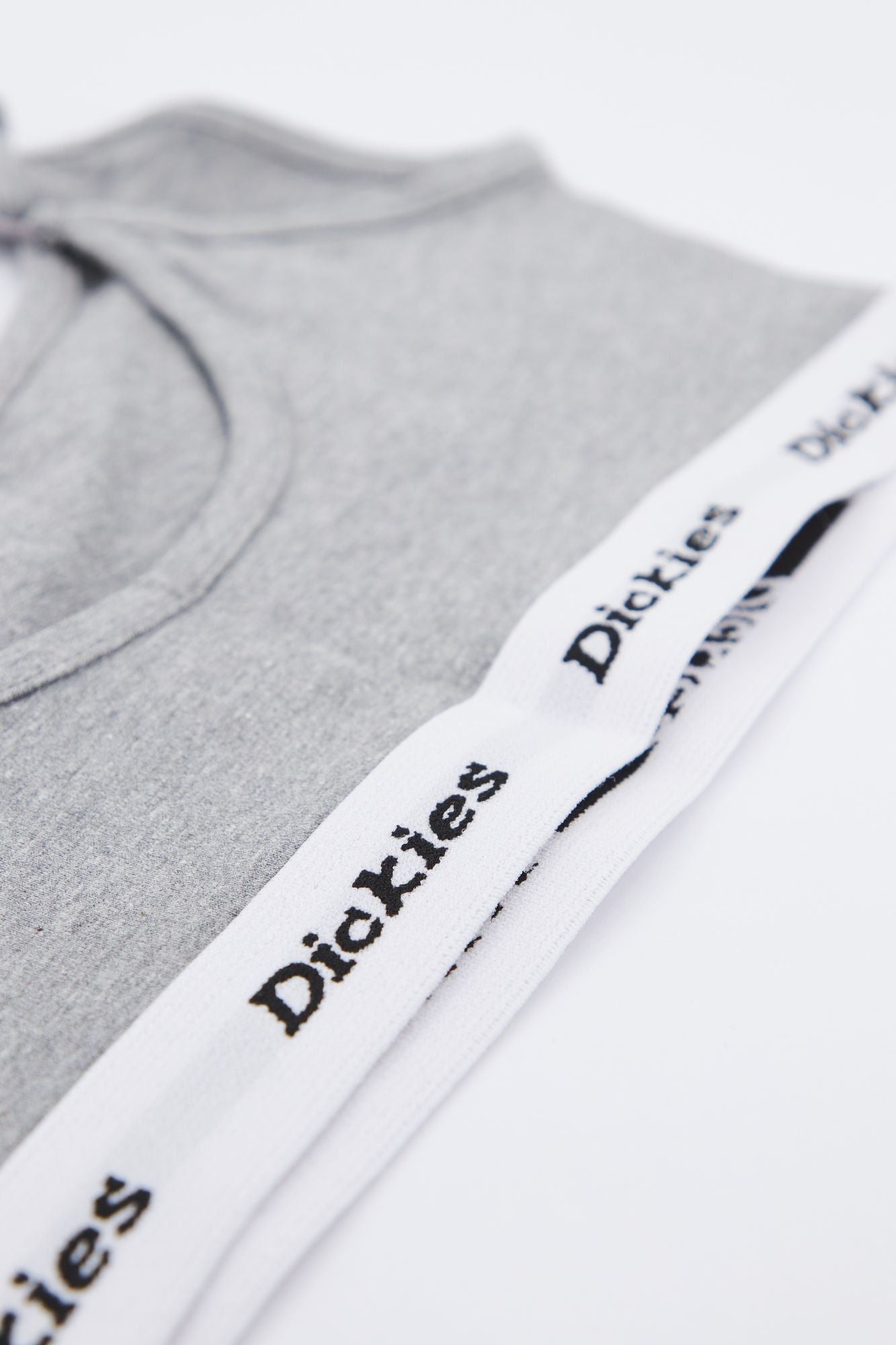 DICKIES DK0A4XOJGYM1  en color GRIS (4)