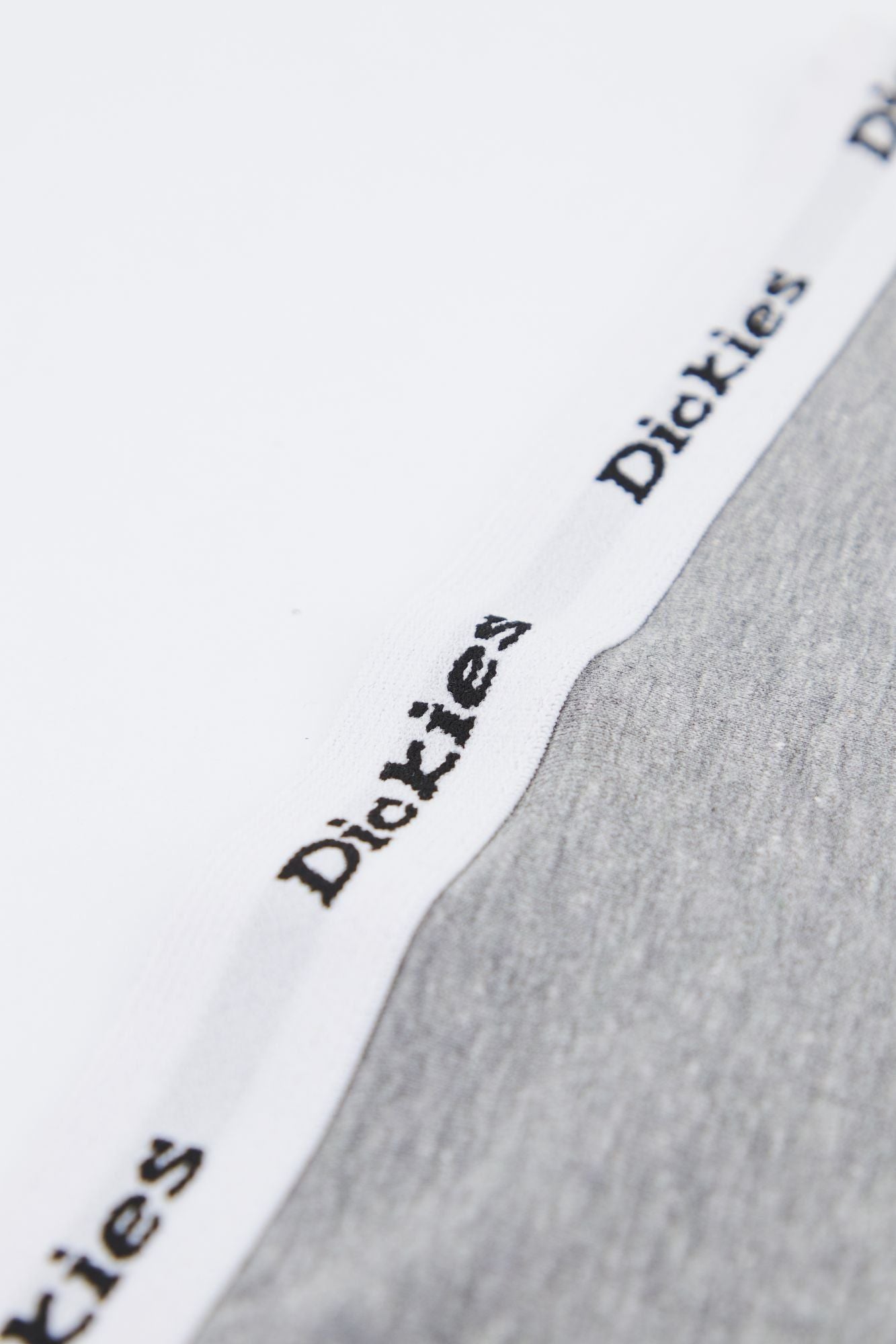 DICKIES DK0A4XOKGYM1 en color GRIS (4)