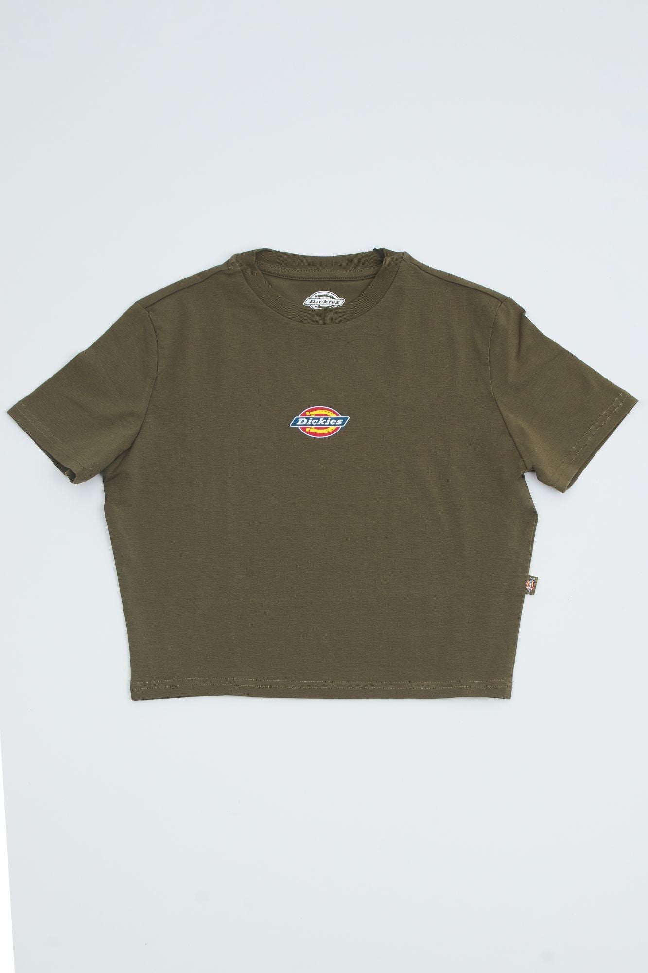 DICKIES  MAPLE VALLEY TEE en color VERDE (2)