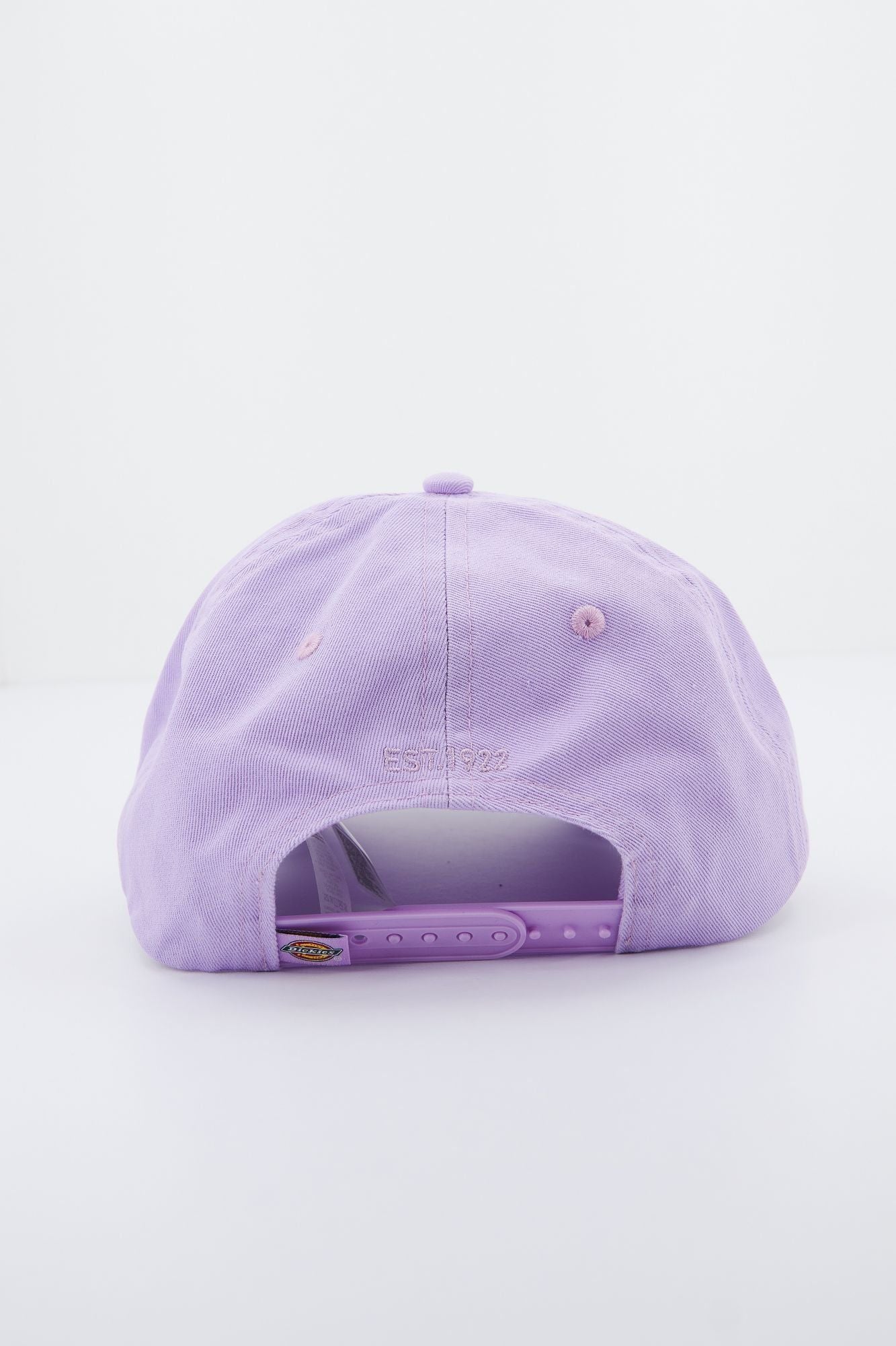DICKIES HARDWICK en color VIOLETA (3)