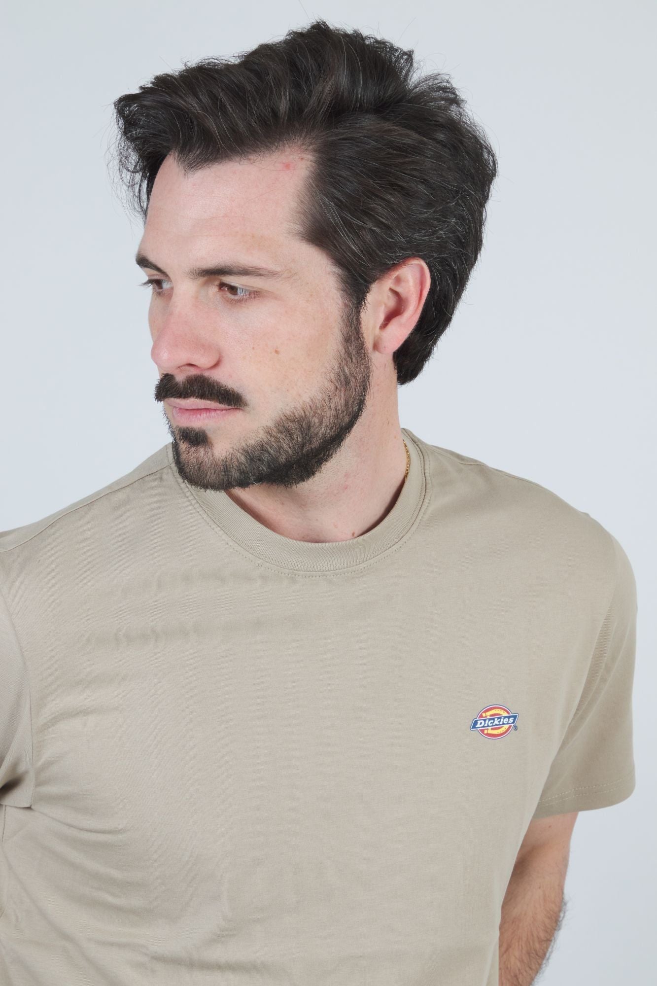 DICKIES SS MAPLETON T-SHIRT en color MARRON CLARO (4)