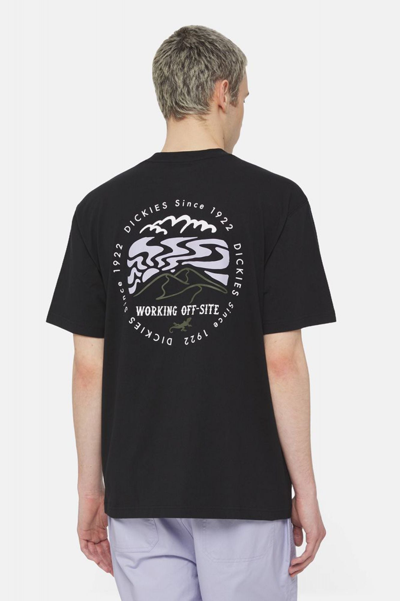 DICKIES  SS STANARDSVILLE TEE en color NEGRO (3)