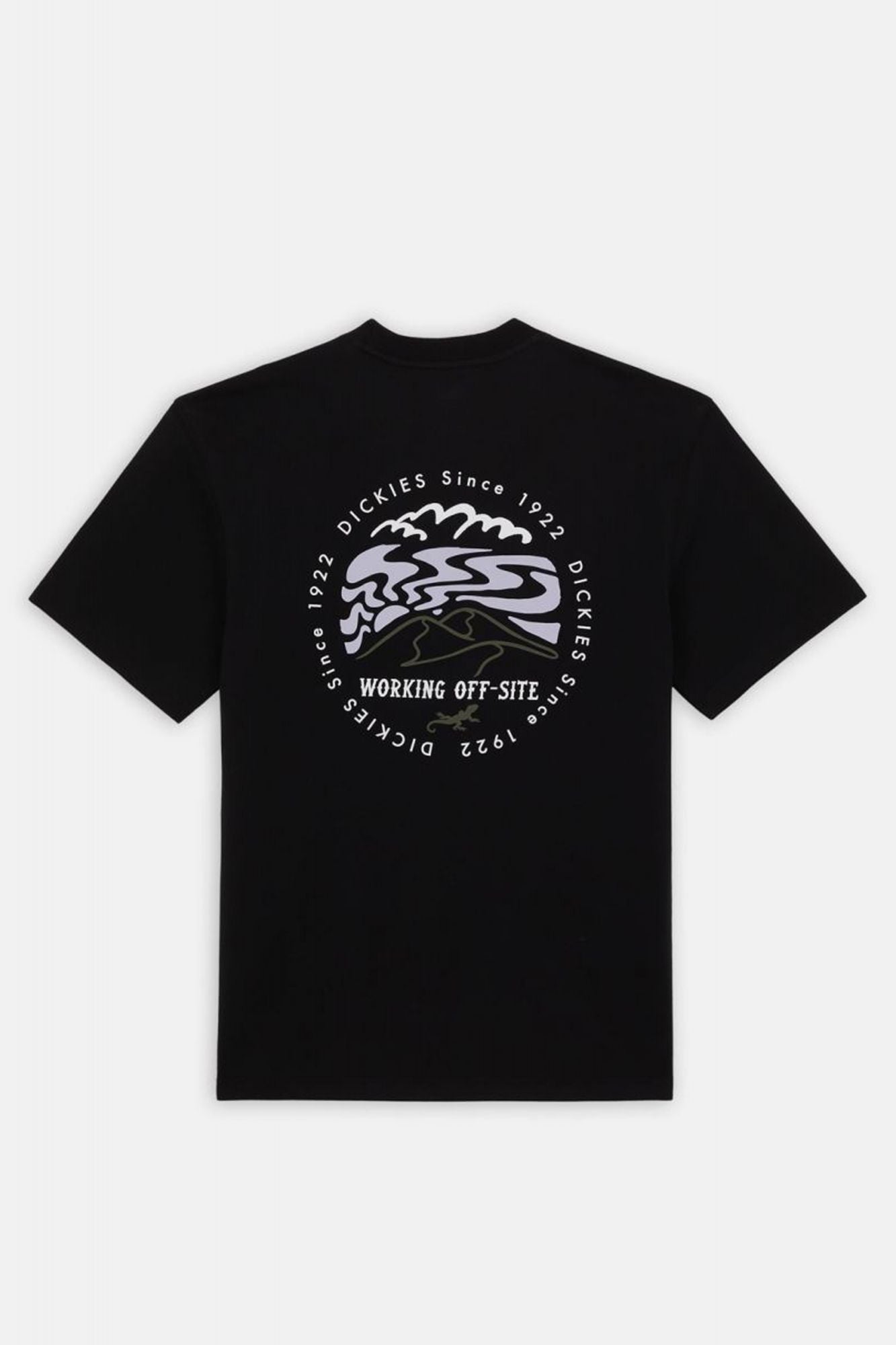 DICKIES  SS STANARDSVILLE TEE en color NEGRO (4)