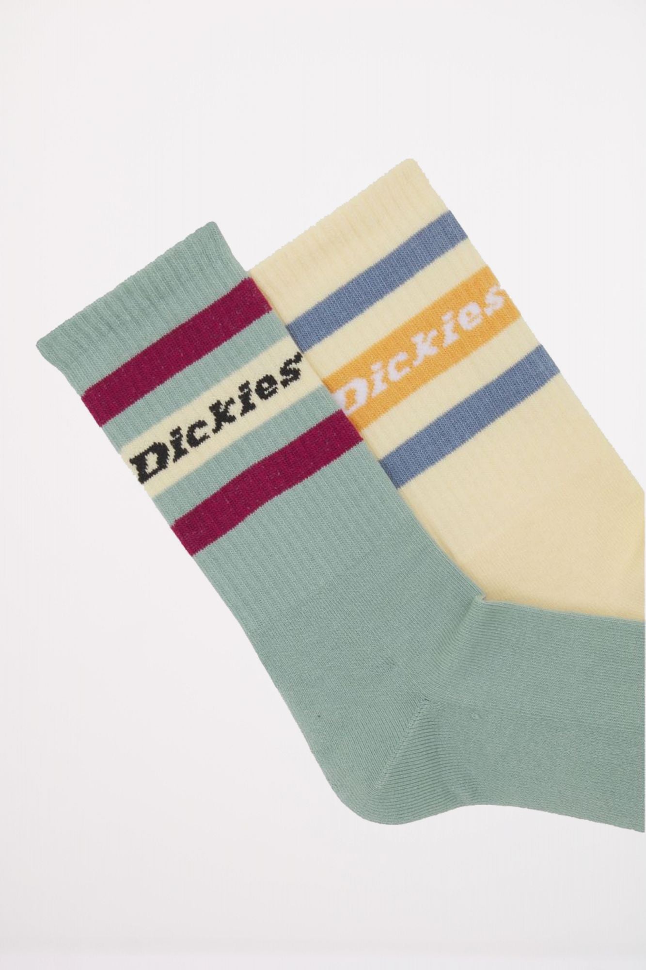 DICKIES GENOLA ICEBERG GREEN en color MULTICOLOR (2)