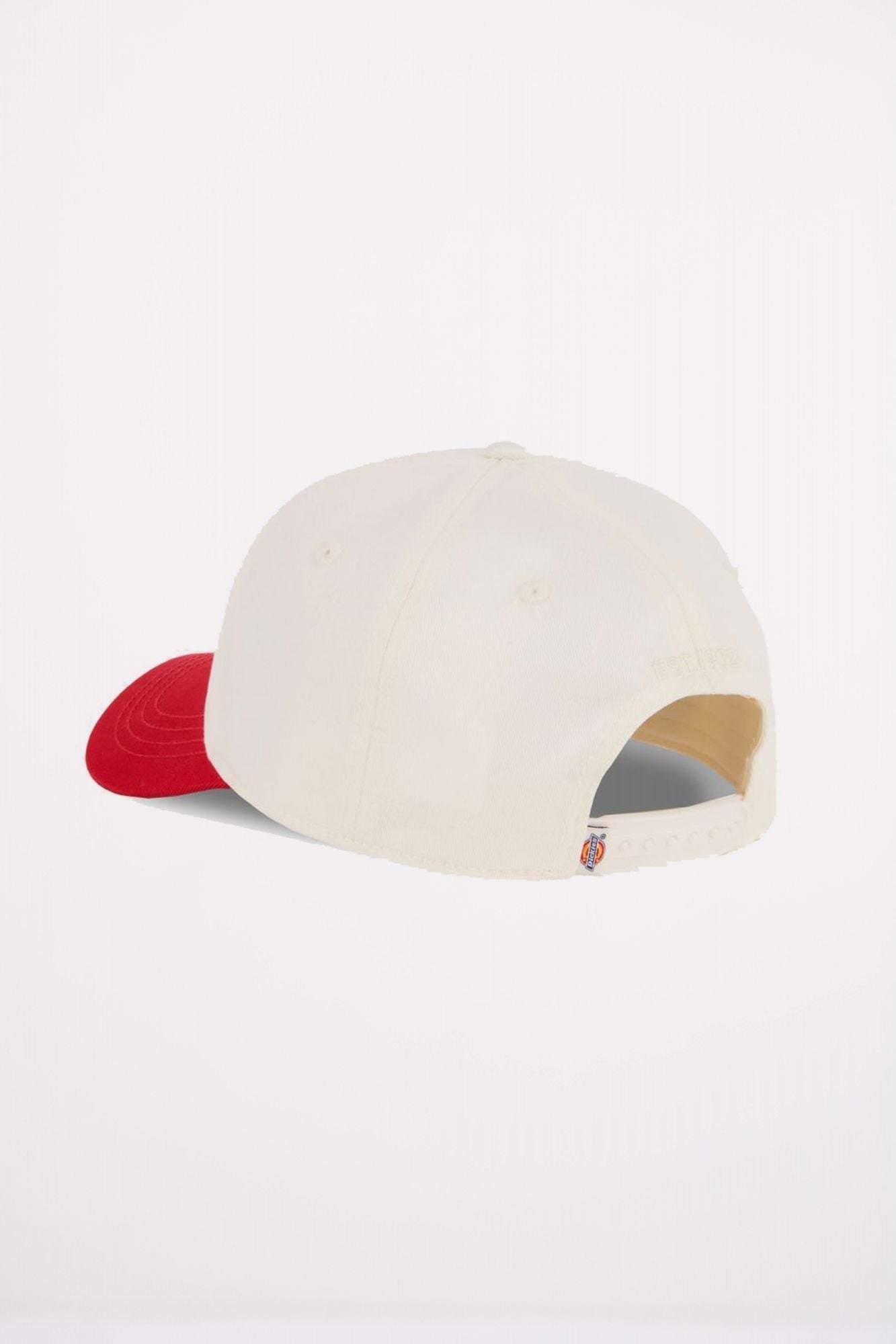 DICKIES HARDWICK 2 TONE EGRET en color BLANCO (2)