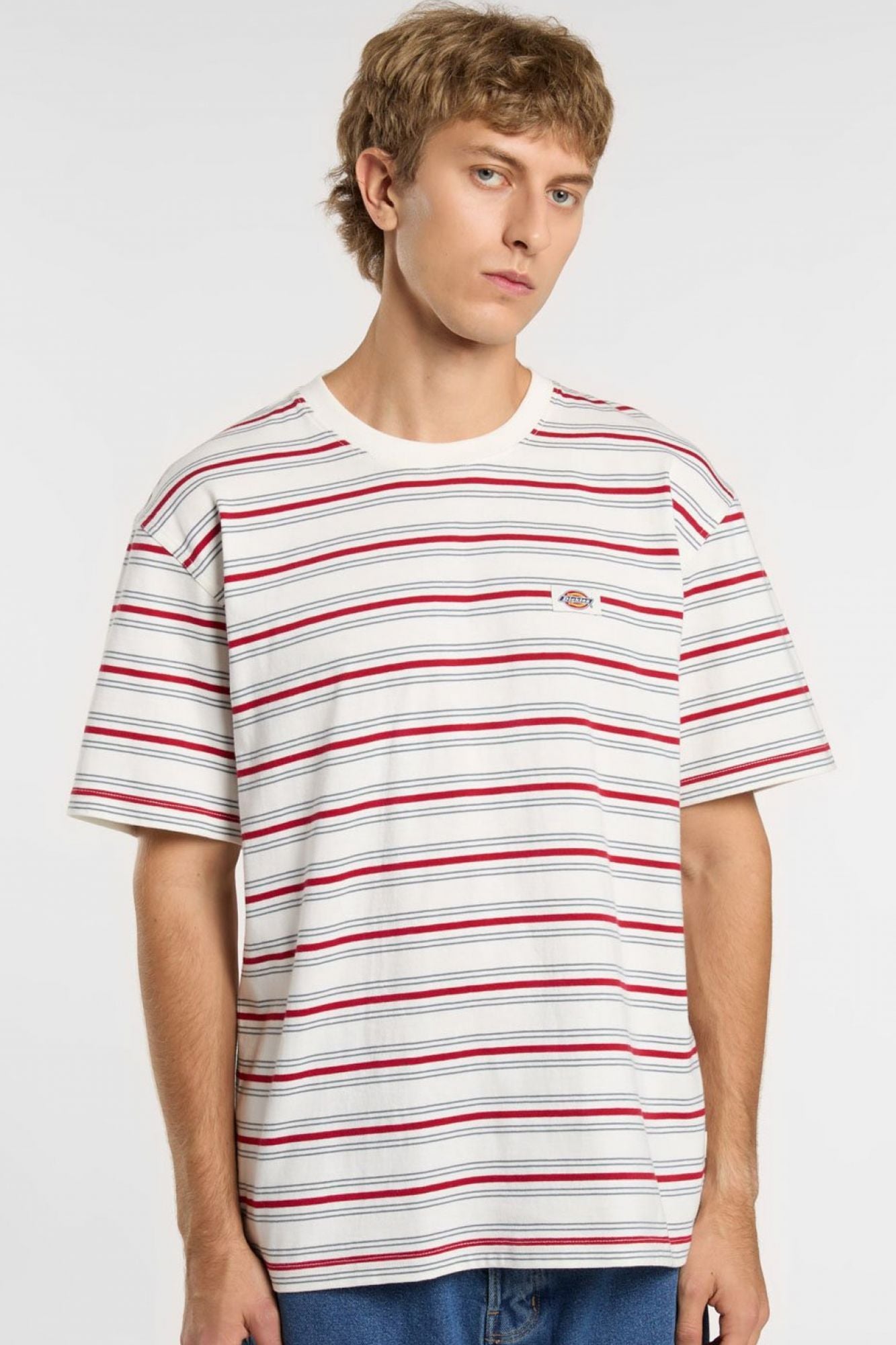 DICKIES LEWISTOWN STRIPE SS TE en color BLANCO (3)