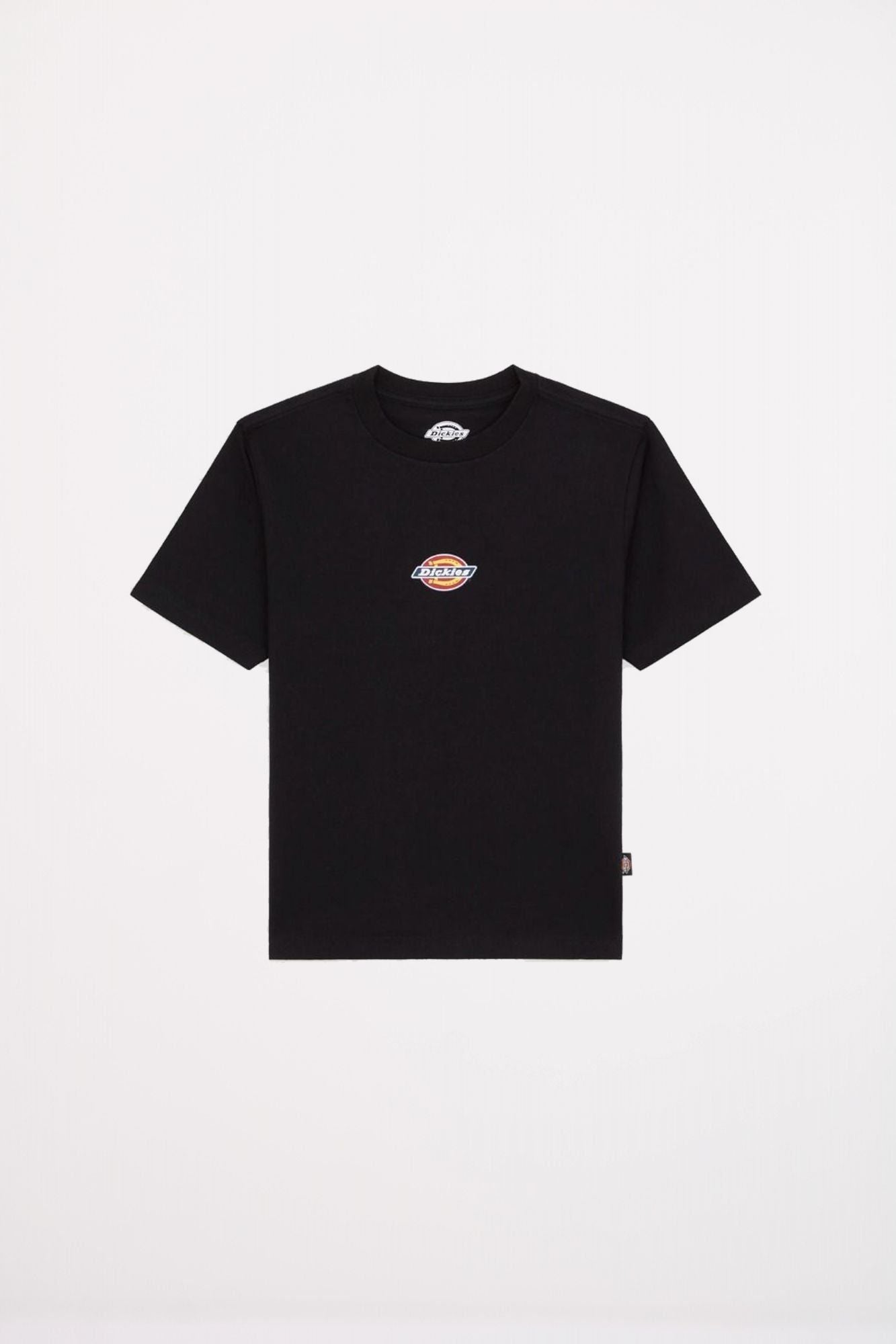 DICKIES MAPLE VALLEY REG TEE en color NEGRO (2)