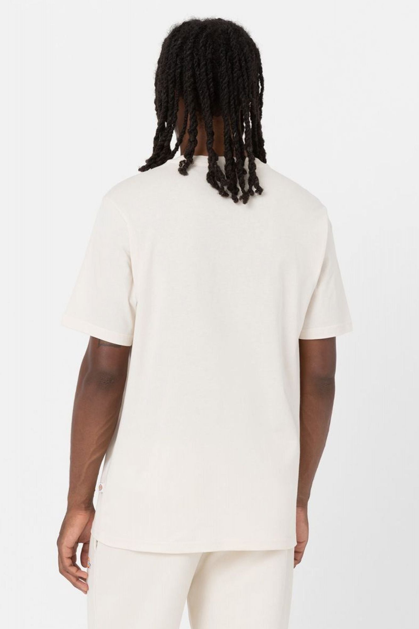 DICKIES MAPLETON TEE WHITECAP en color BEIS (2)