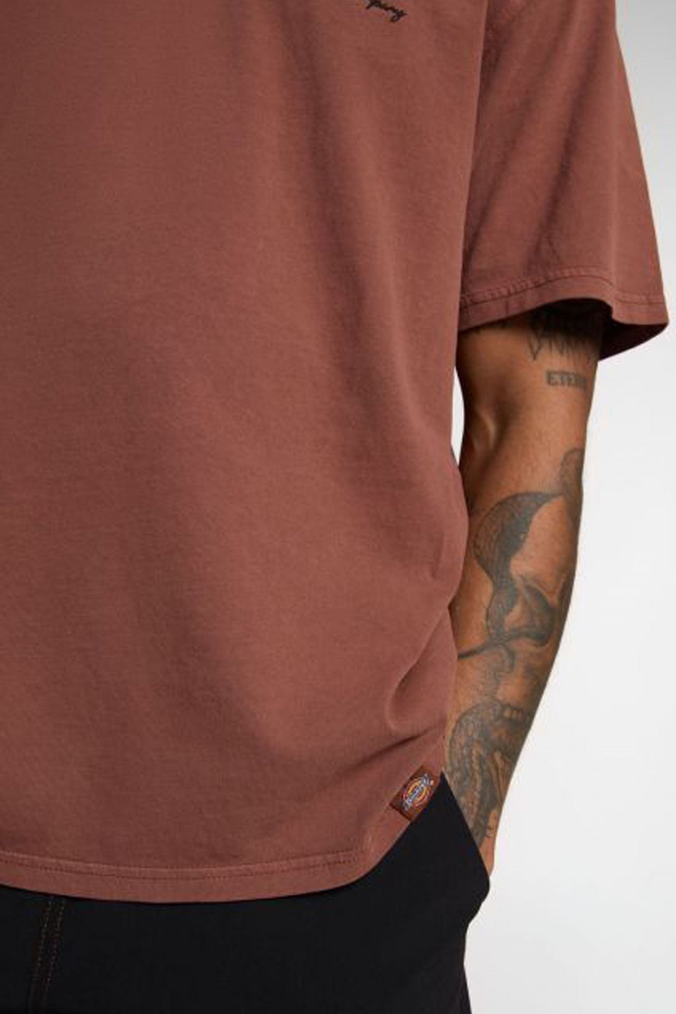 DICKIES DK0A4Z8WK471 ROPE CHEST LOGO SS TEE en color MARRON (4)