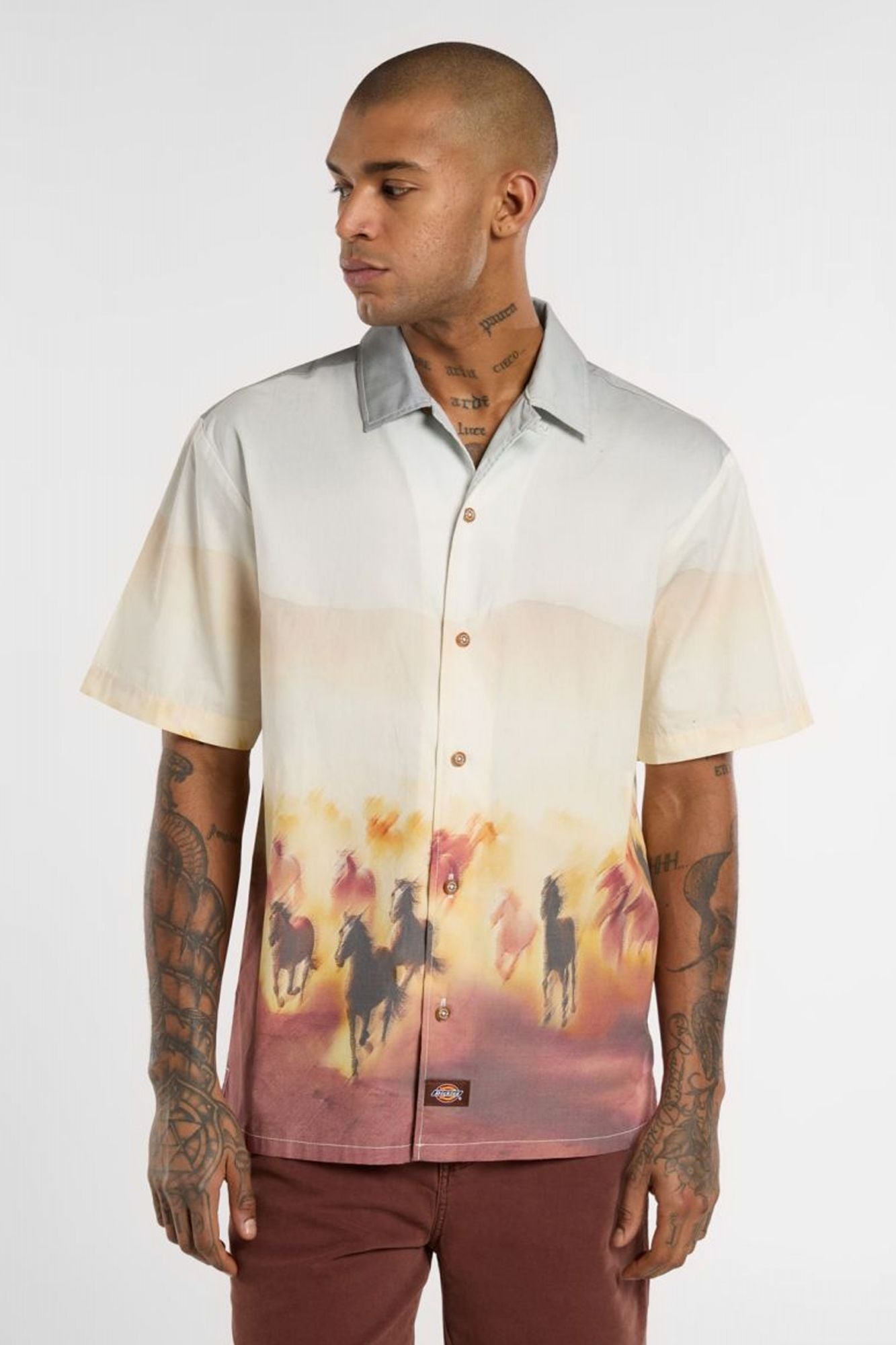 DICKIES RUNNING WILD SHIRT SS en color MULTICOLOR (1)