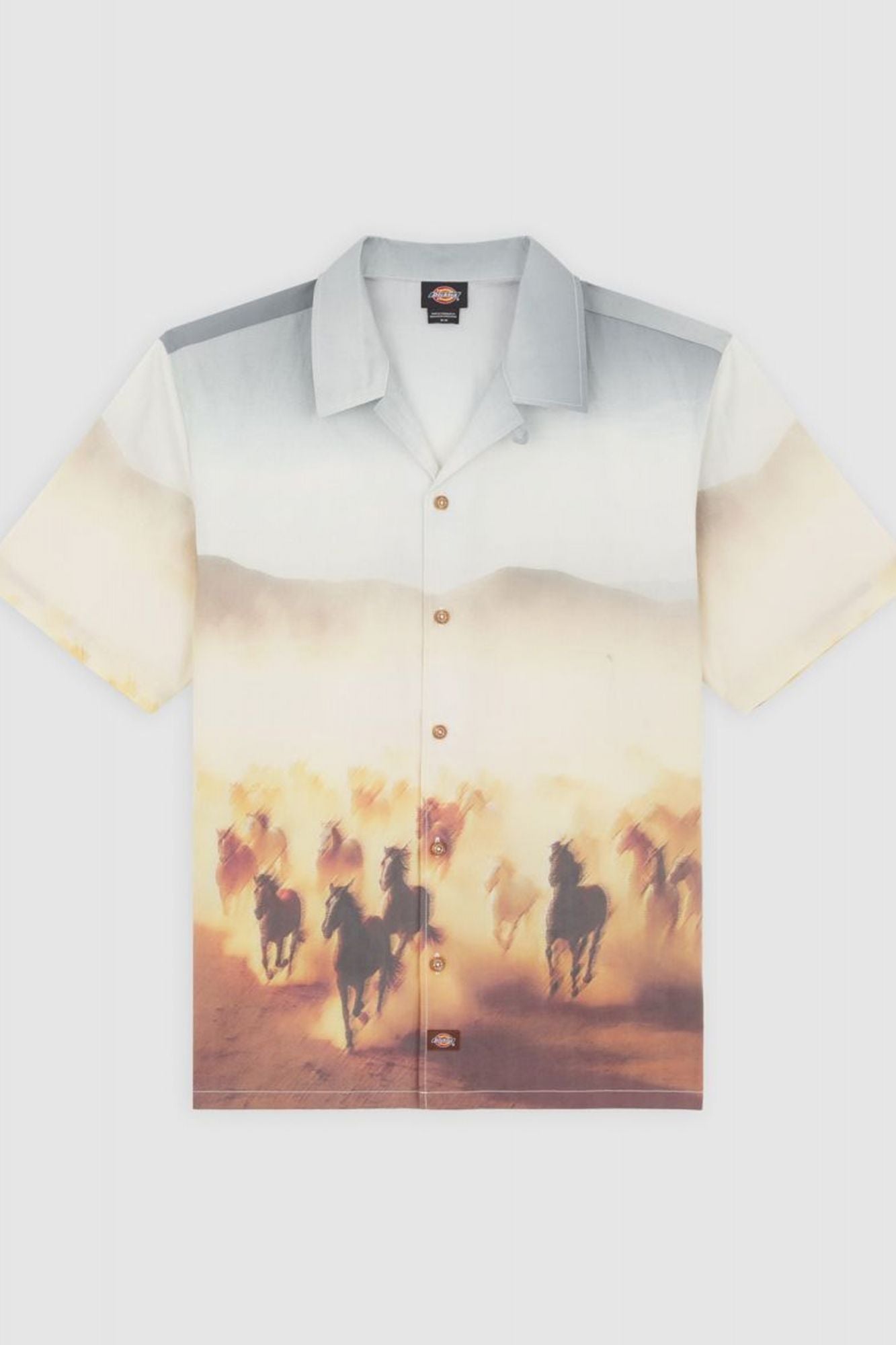 DICKIES RUNNING WILD SHIRT SS en color MULTICOLOR (2)