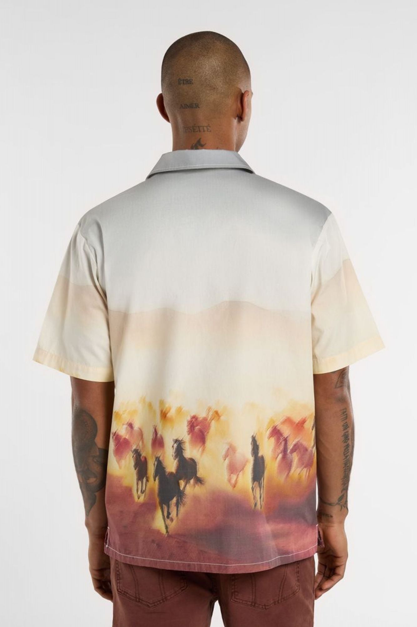 DICKIES RUNNING WILD SHIRT SS en color MULTICOLOR (3)