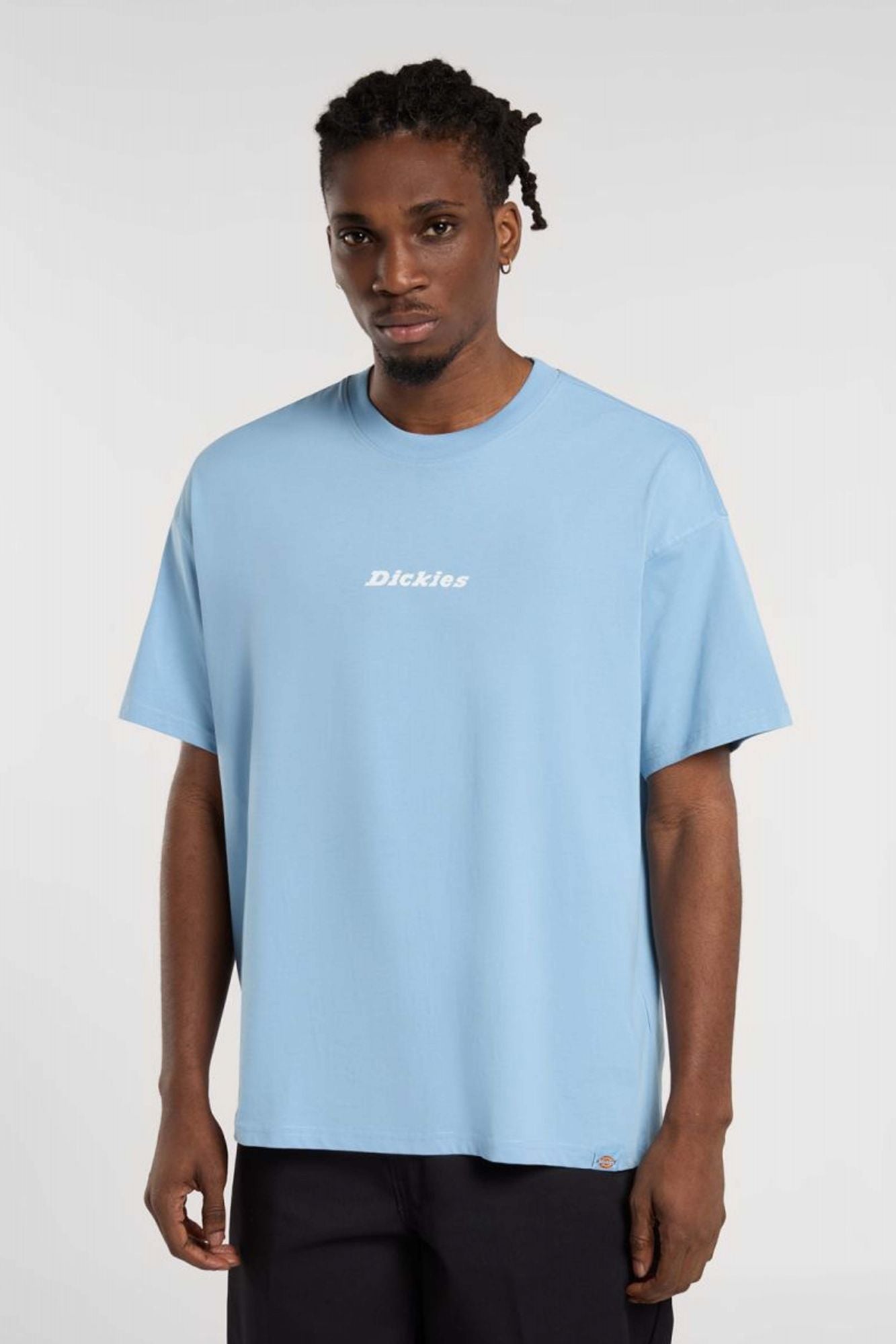 DICKIES ENTERPRISE en color AZUL (1)