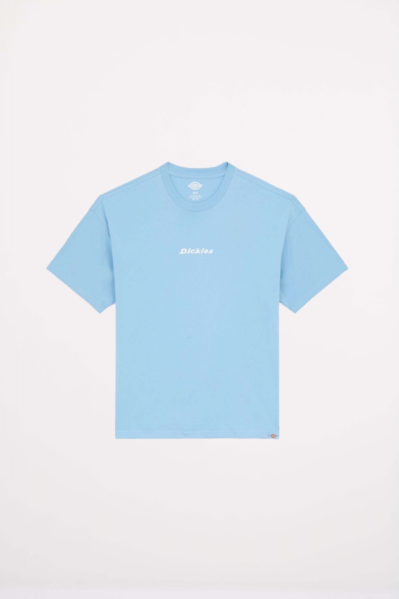 DICKIES ENTERPRISE en color AZUL (2)