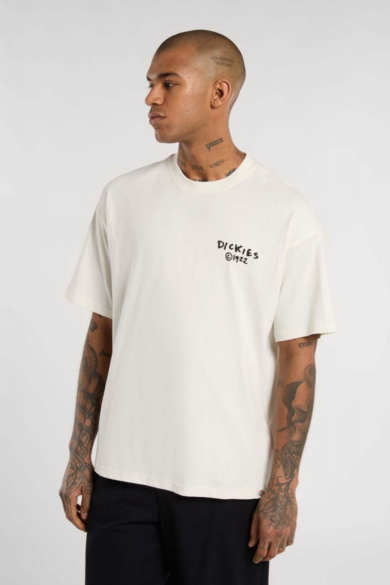 DICKIES  SNEEDVILLE  en color BLANCO (1)