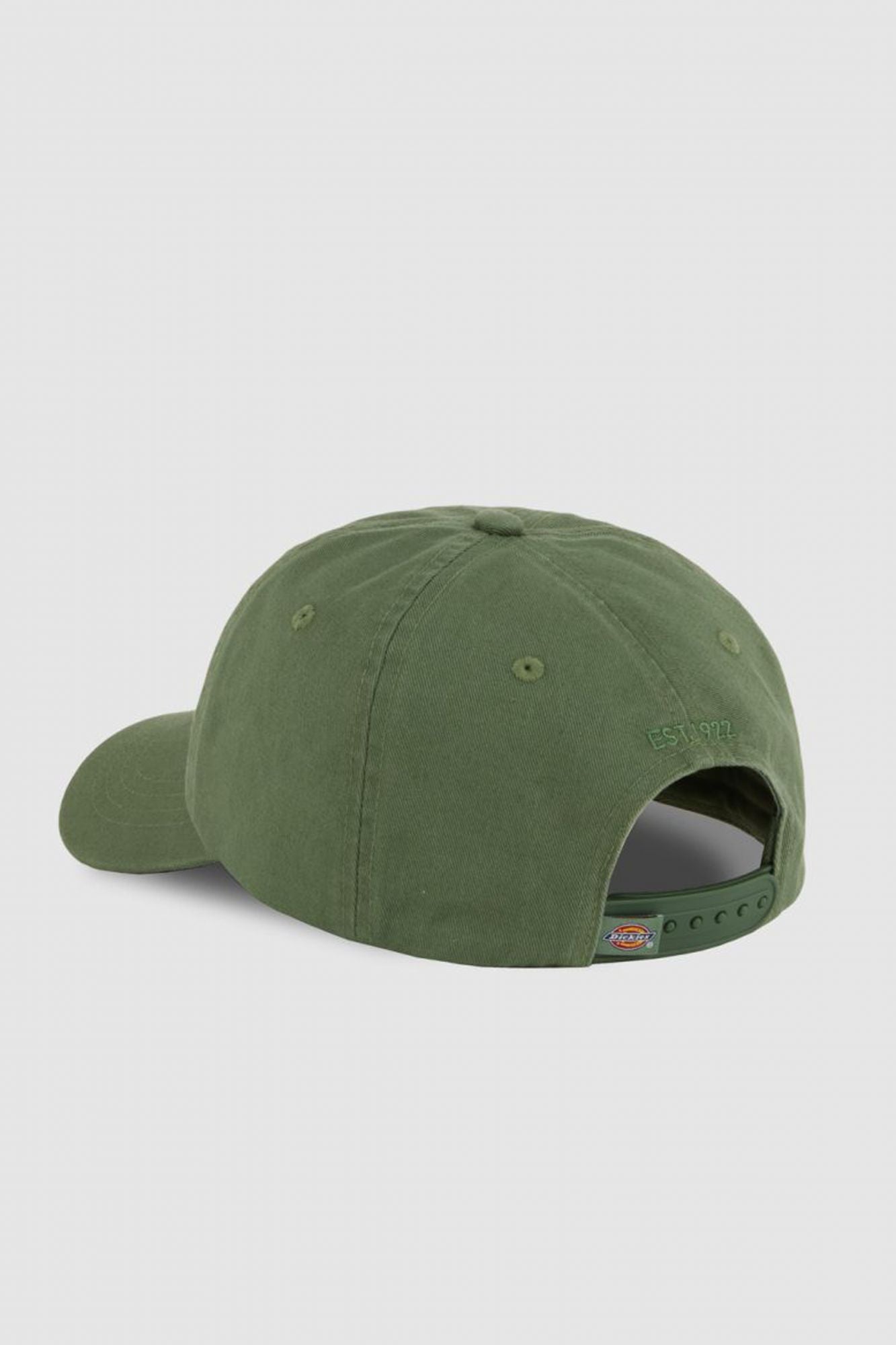 DICKIES HARDWICK en color VERDE (2)