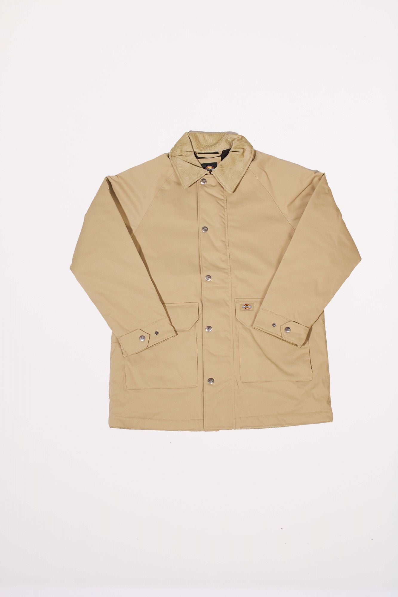 DICKIES  MEDINA  en color MARRON (1)