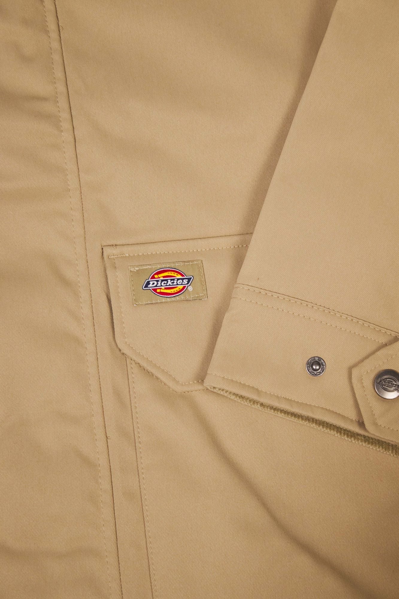 DICKIES  MEDINA  en color MARRON (2)
